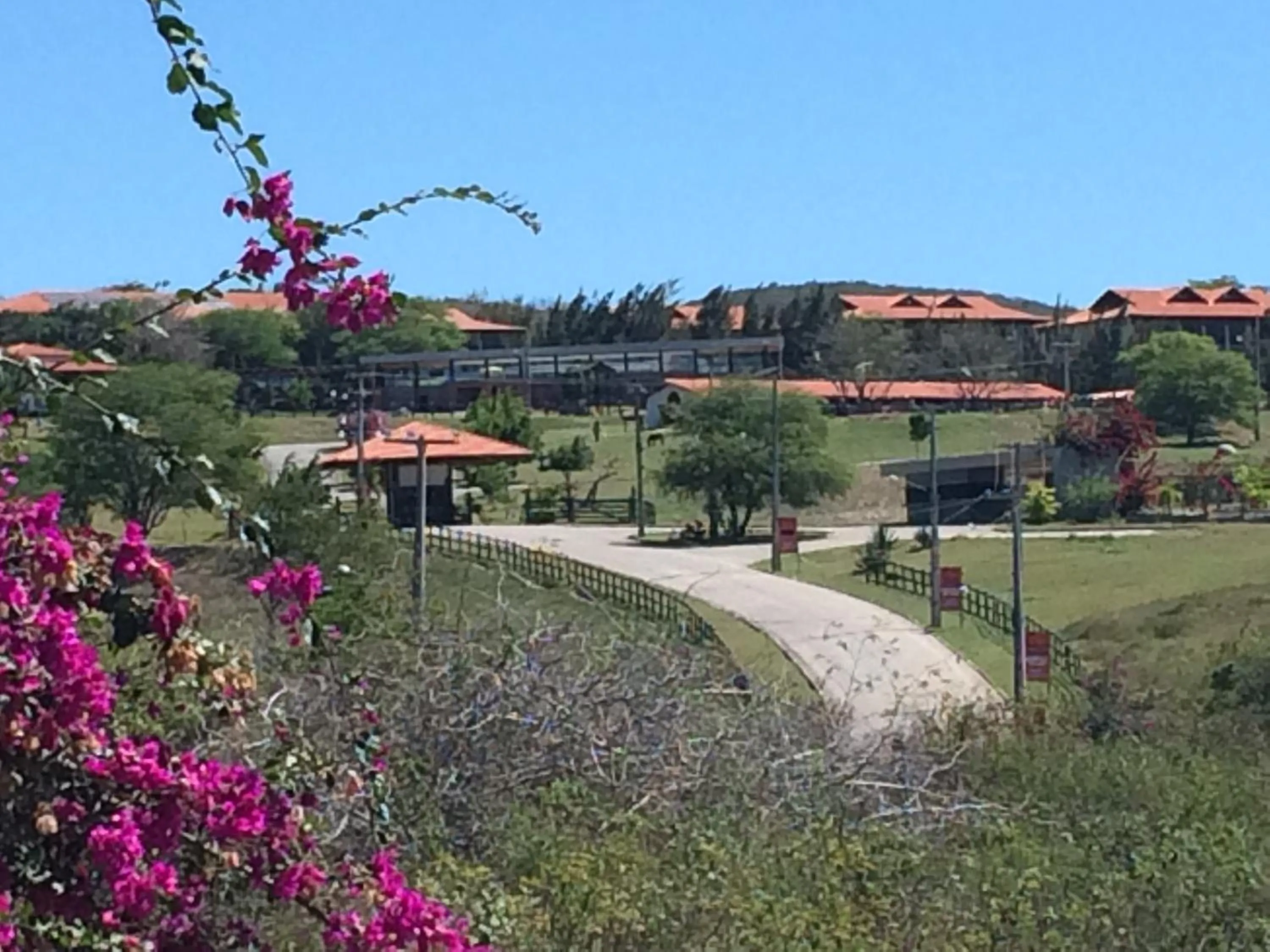 Natural landscape in Monte Castelo Gravatá - Flat