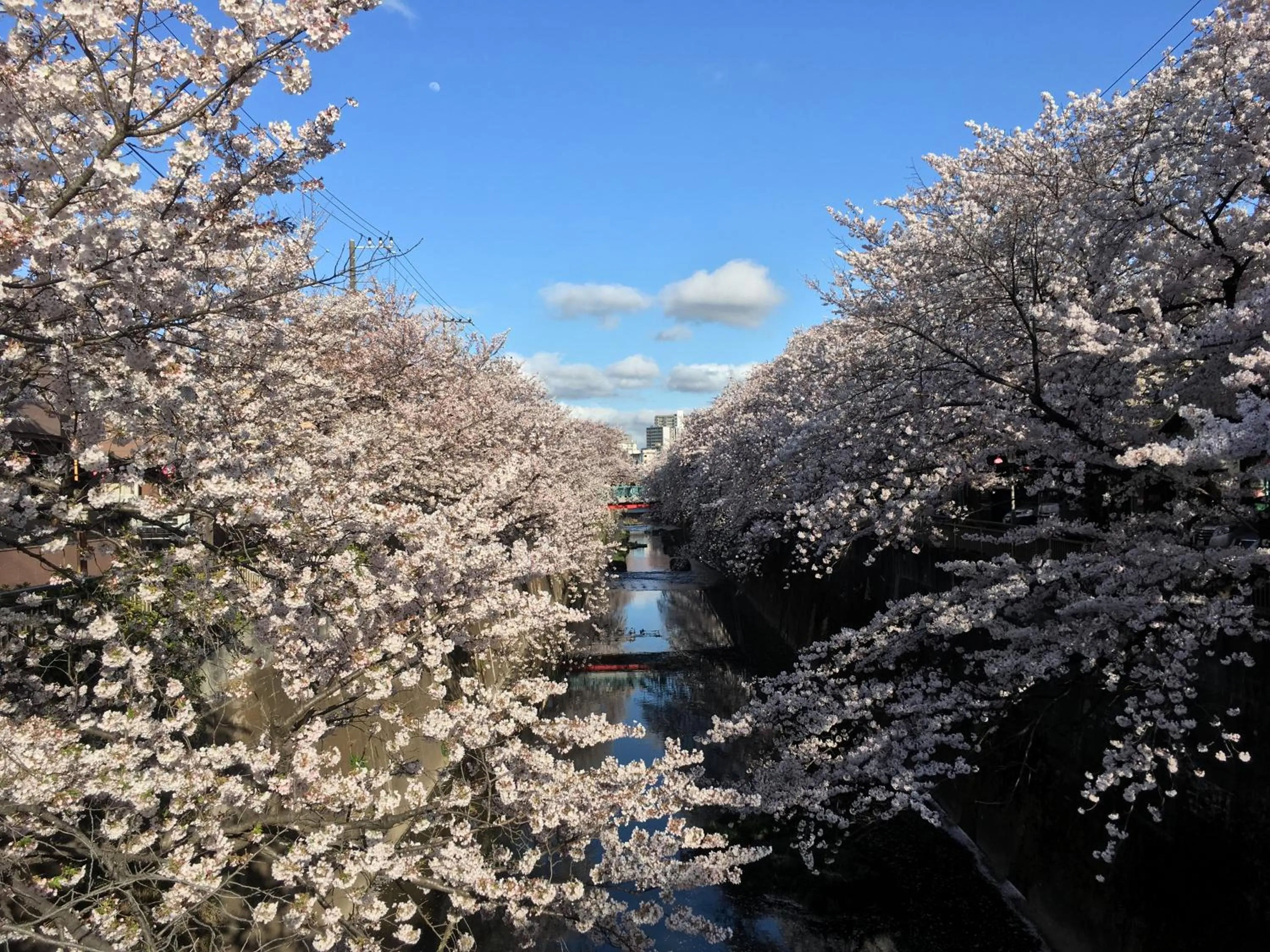 Other in Tokyo Guest House Itabashi-juku