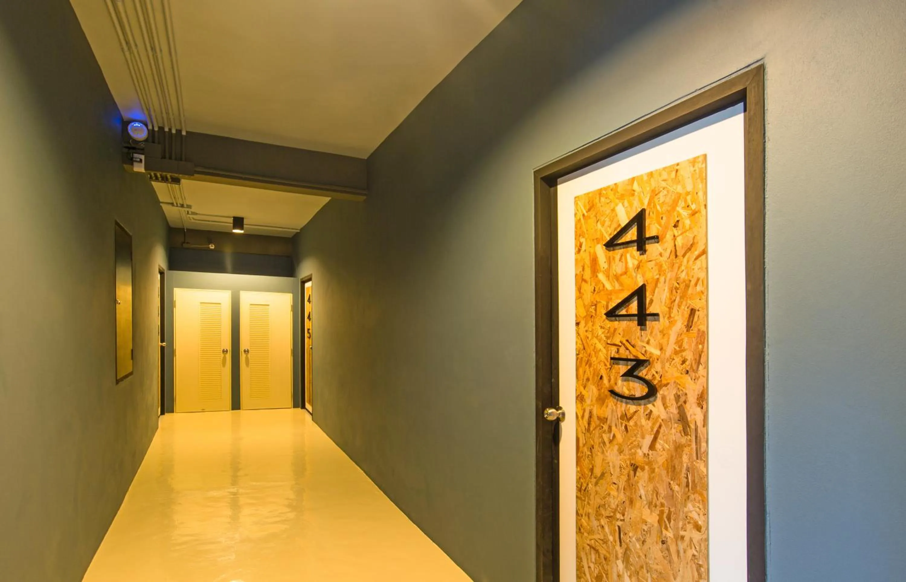 Photo of the whole room in Amity Poshtel