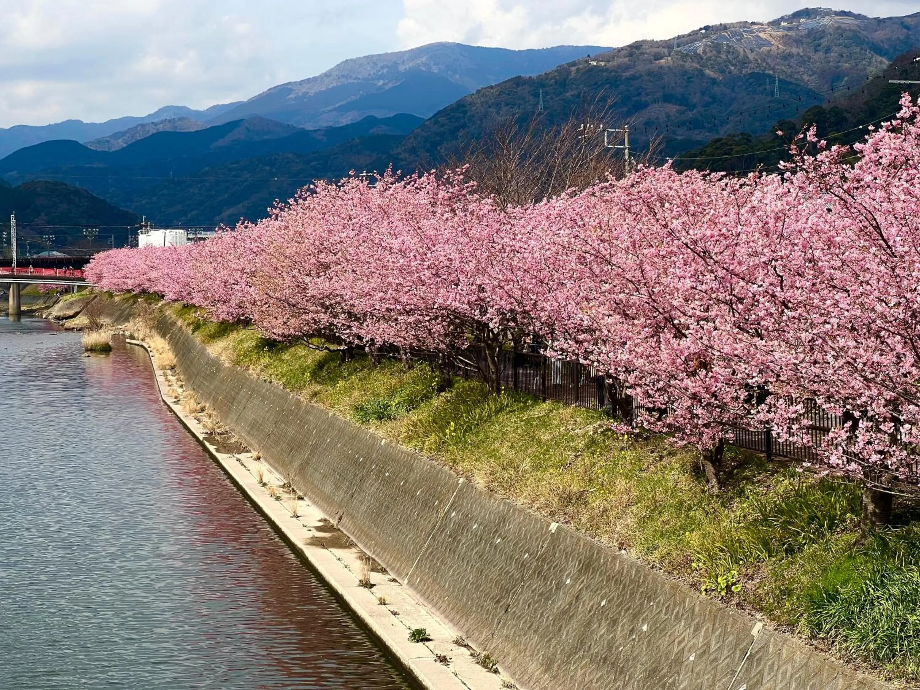 Nearby landmark in Izu atagawa Yubana mankai -Adult Only-