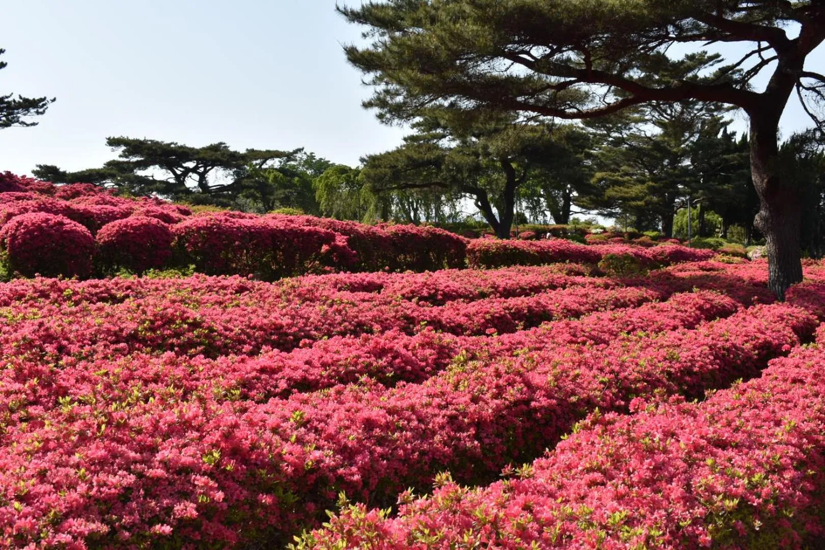 Nearby landmark in Izu atagawa Yubana mankai -Adult Only-