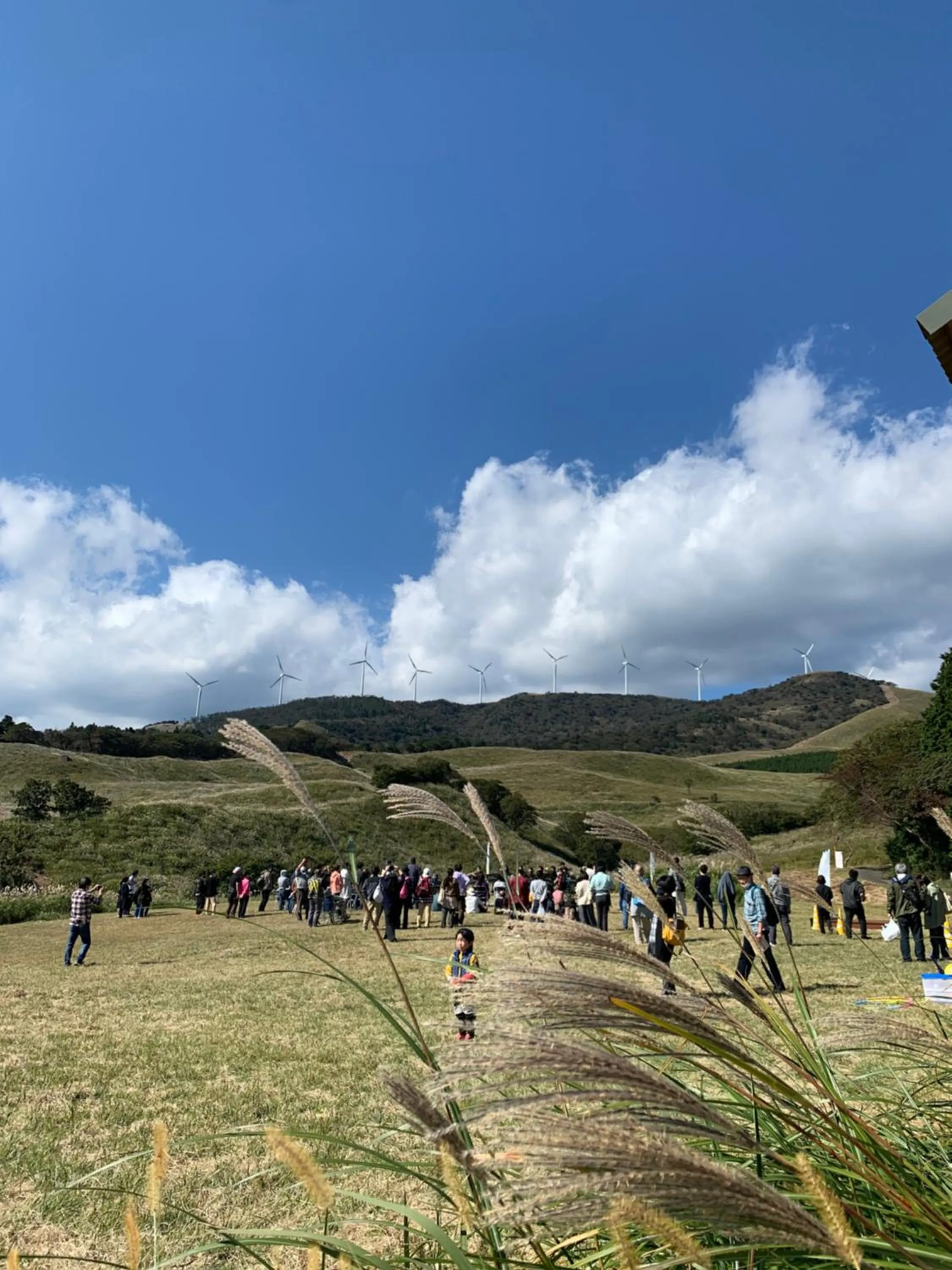 Hiking in Izu atagawa Yubana mankai -Adult Only-