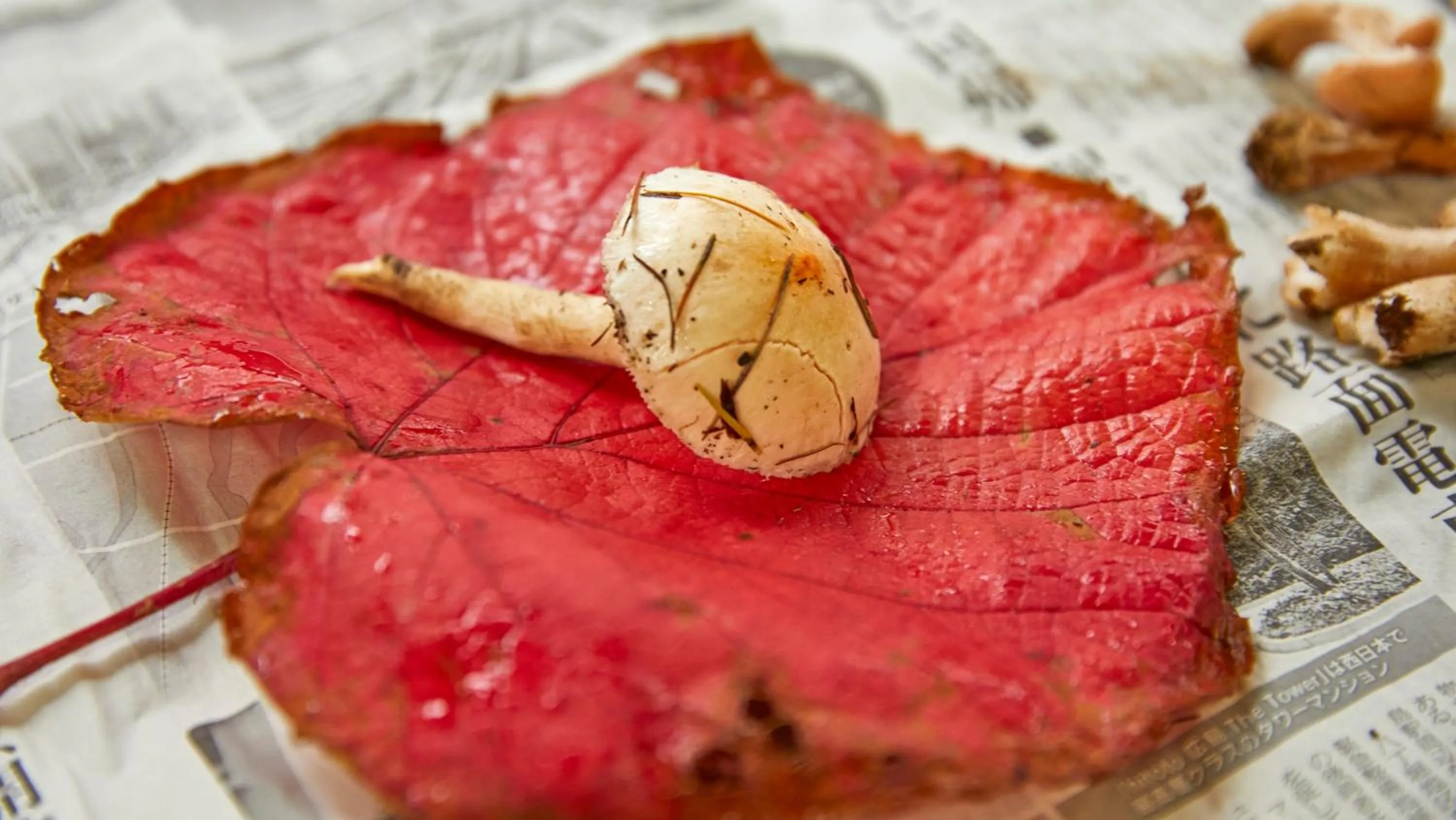 Activities in Tengu Onsen Asama Sanso
