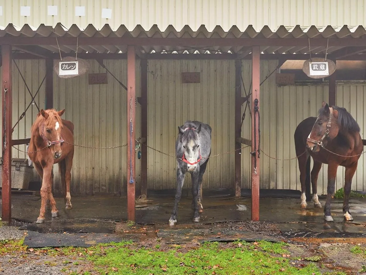 Tengu Onsen Asama Sanso