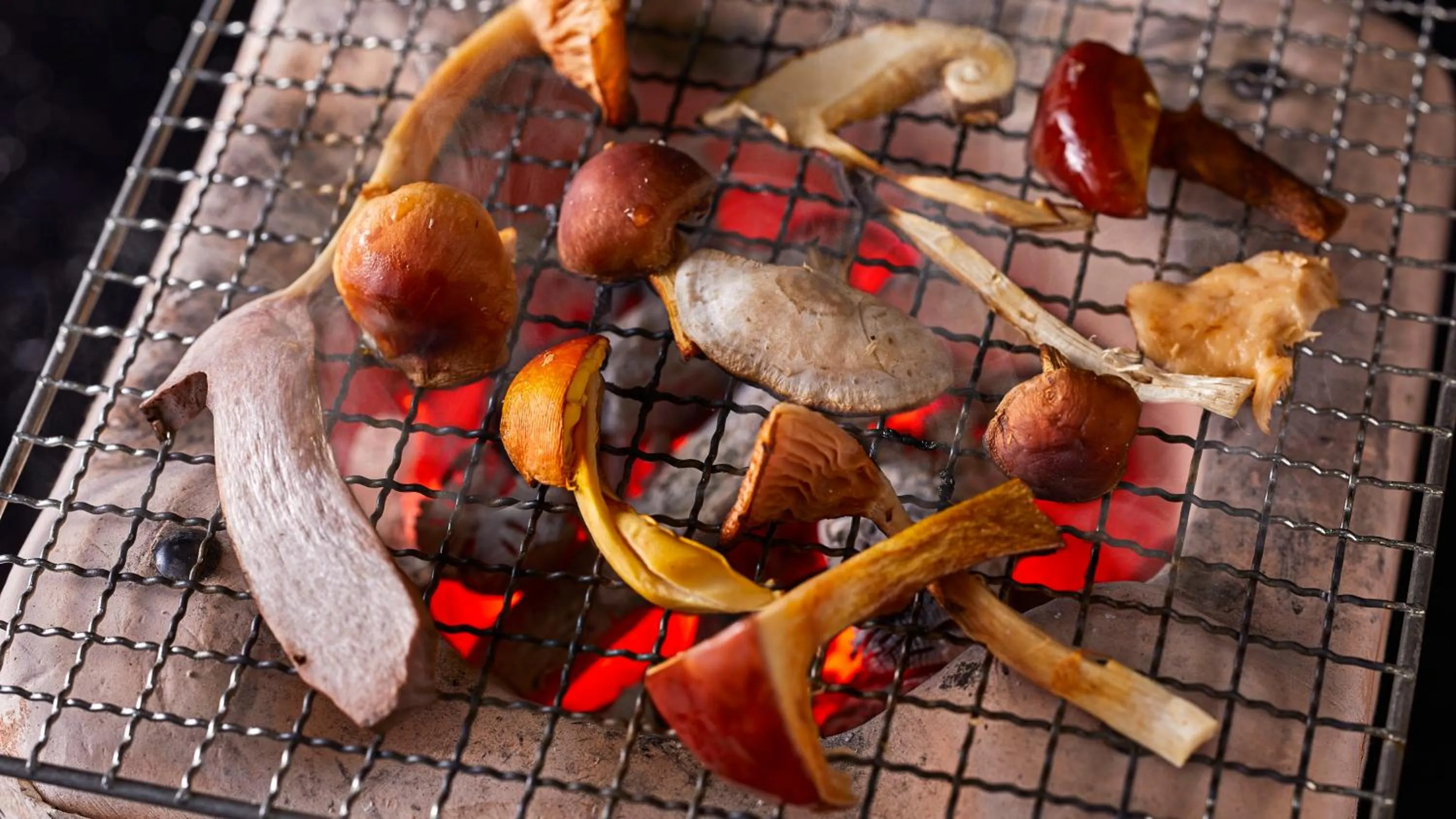 Dinner in Tengu Onsen Asama Sanso