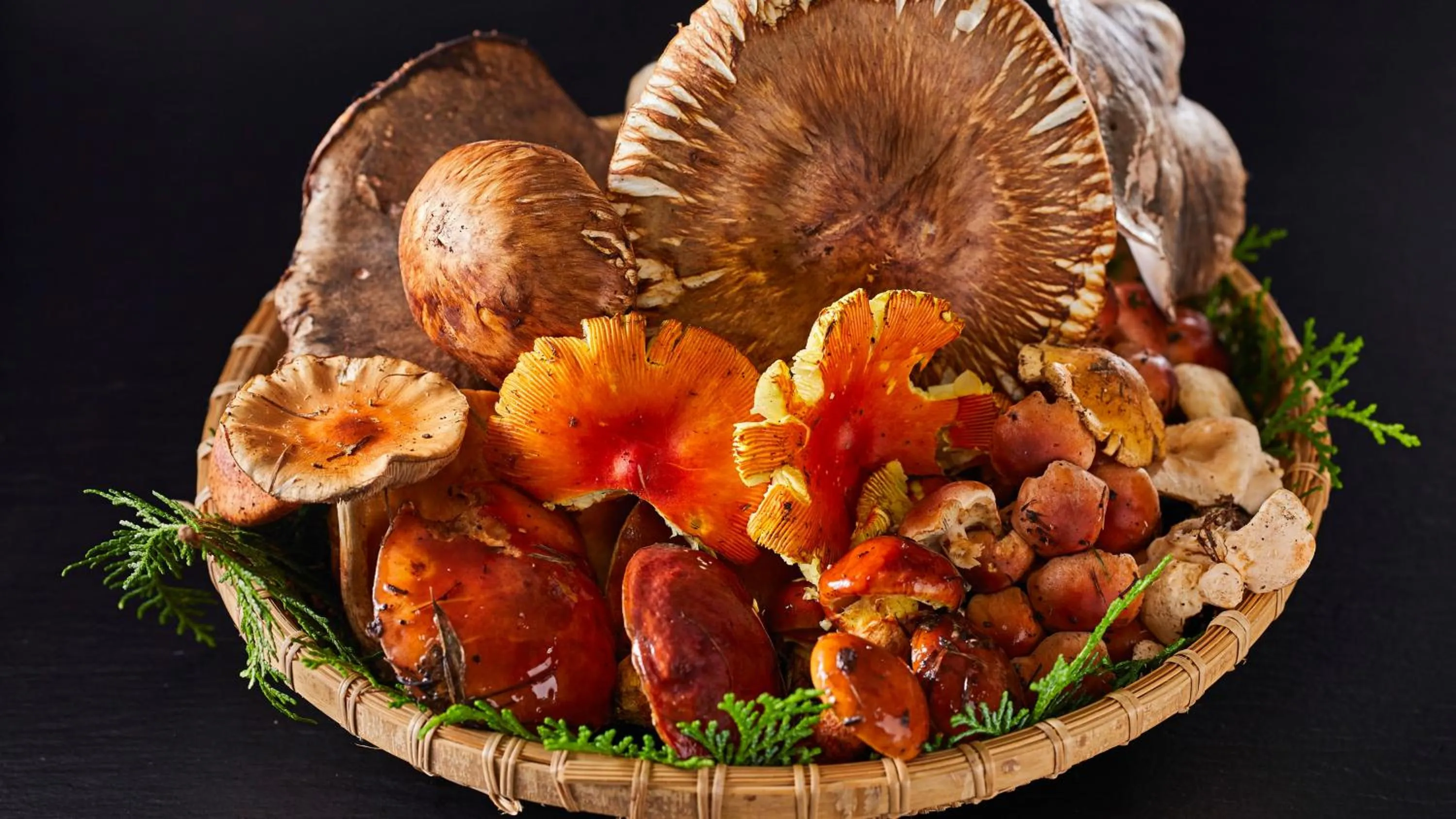 Activities in Tengu Onsen Asama Sanso