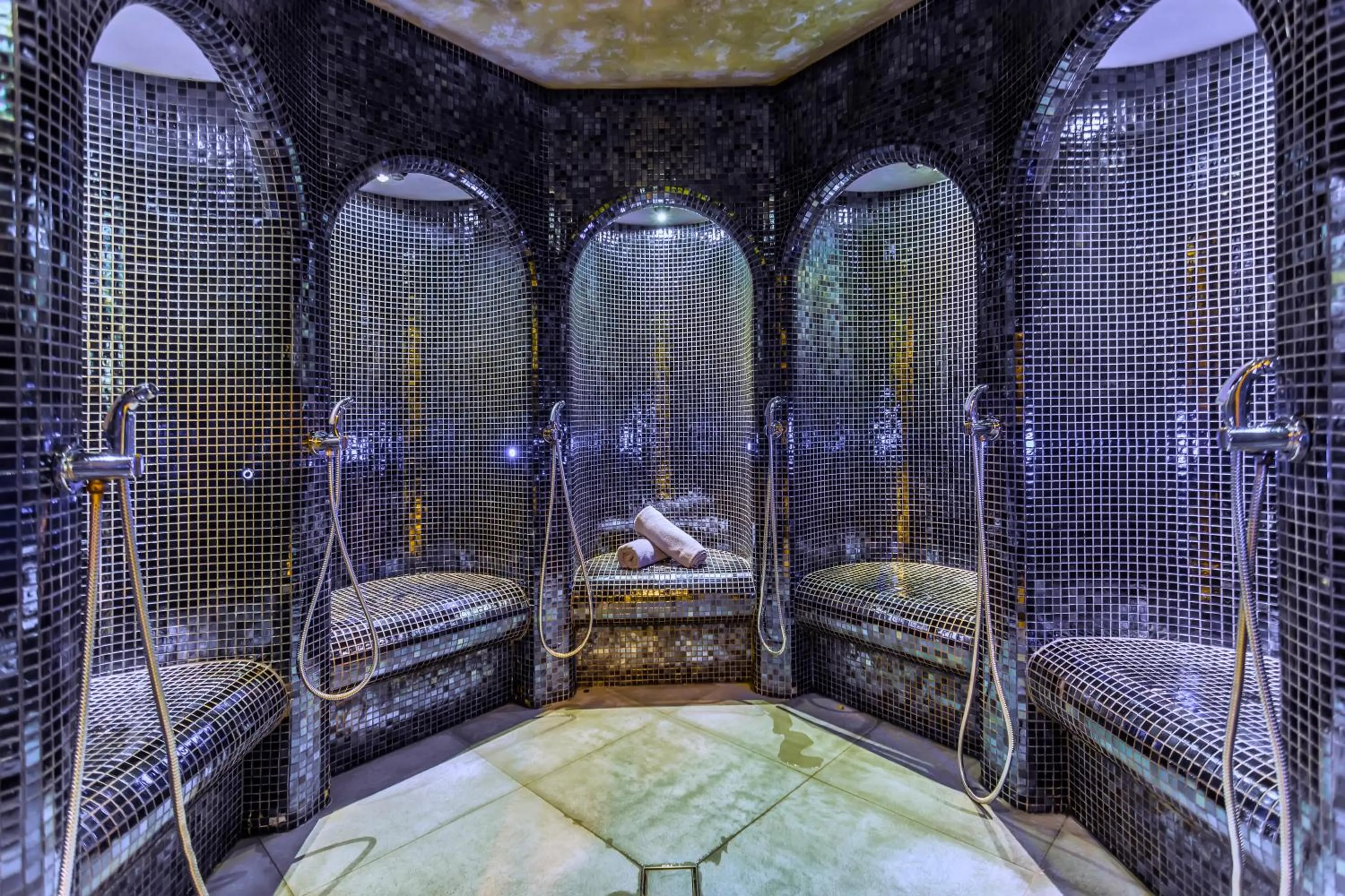 Steam room in Hotel Arte SPA & Park