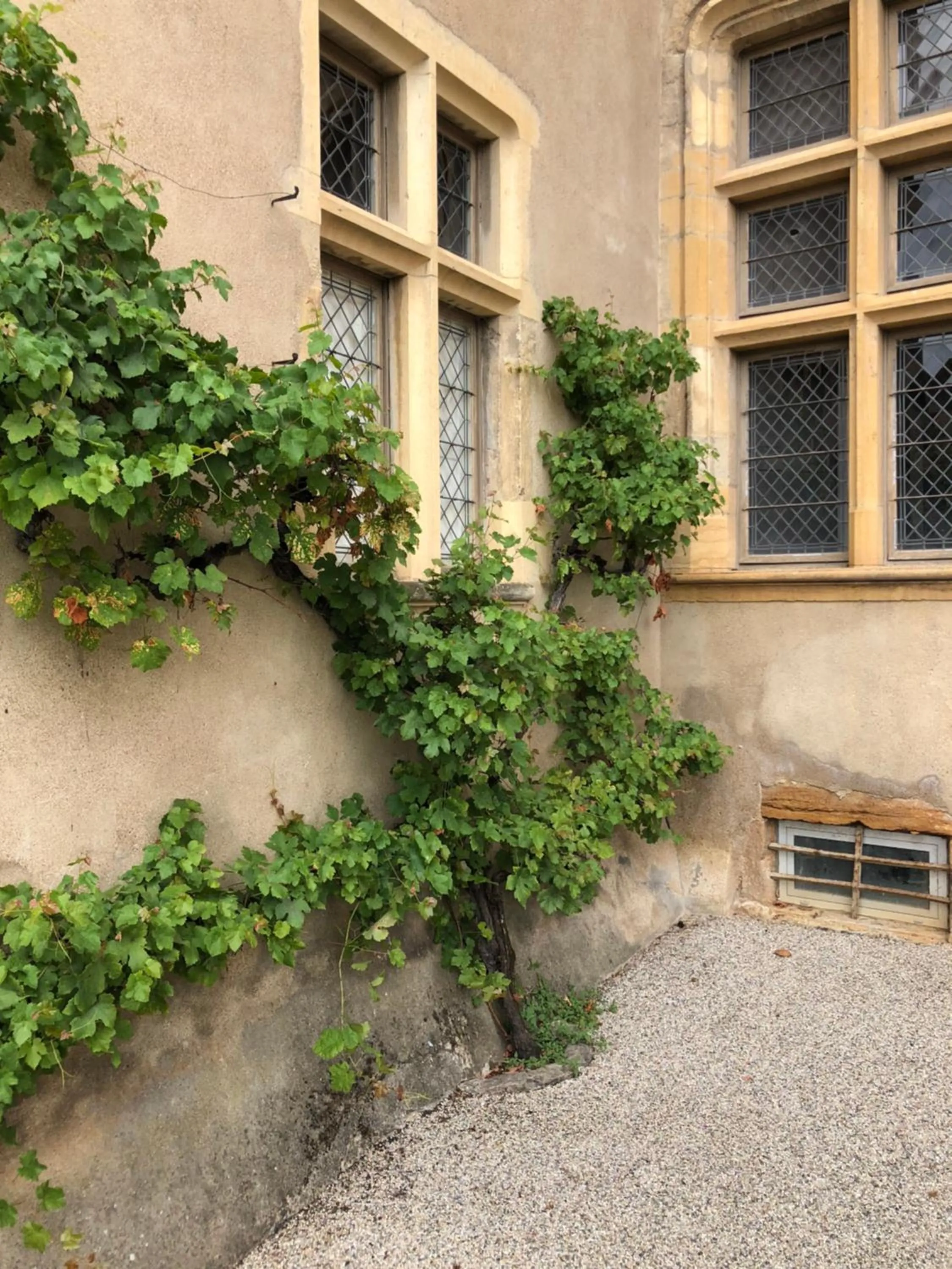 Nearby landmark in Maison TANDEM