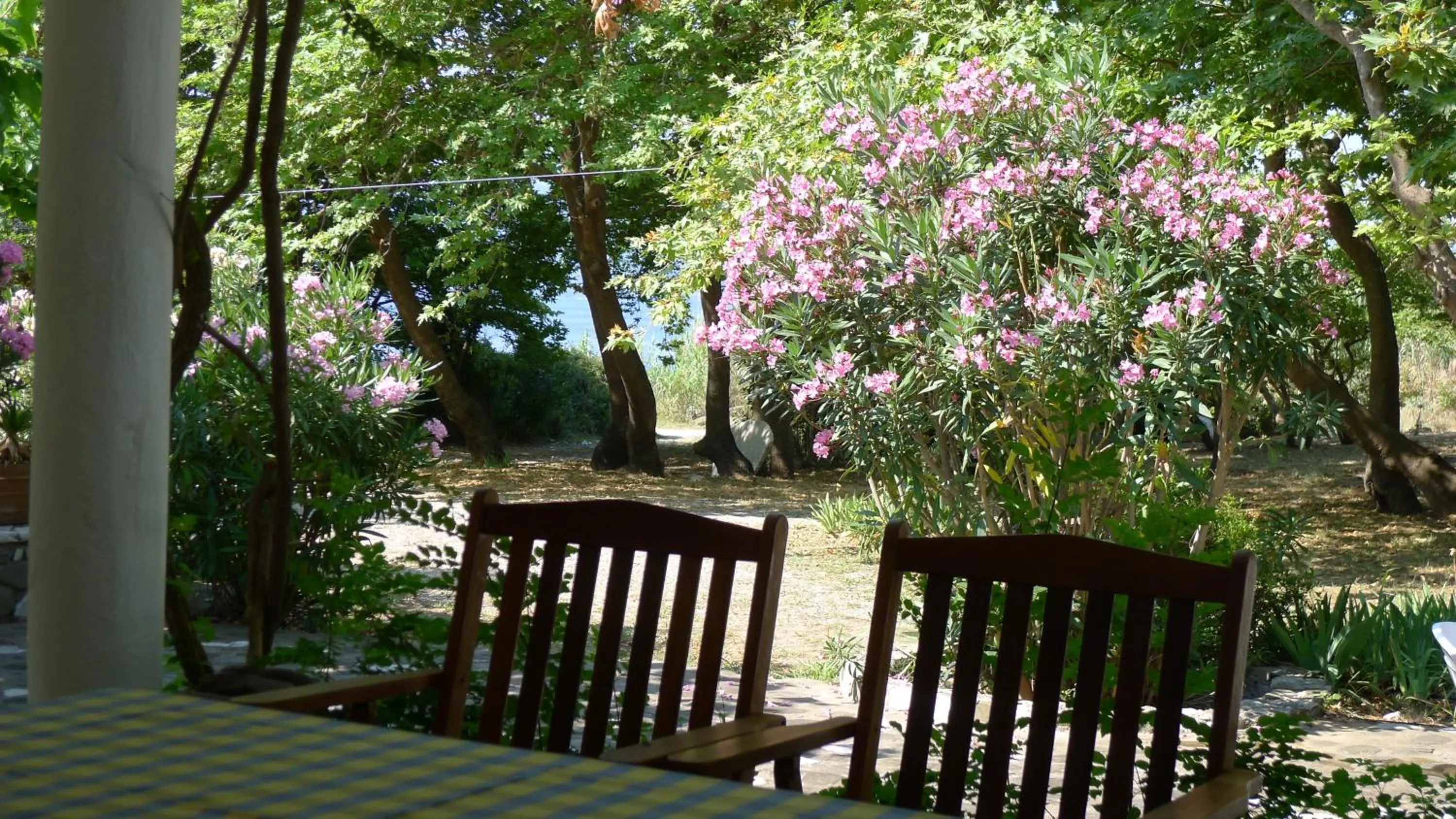 Property building in Villa Goitia