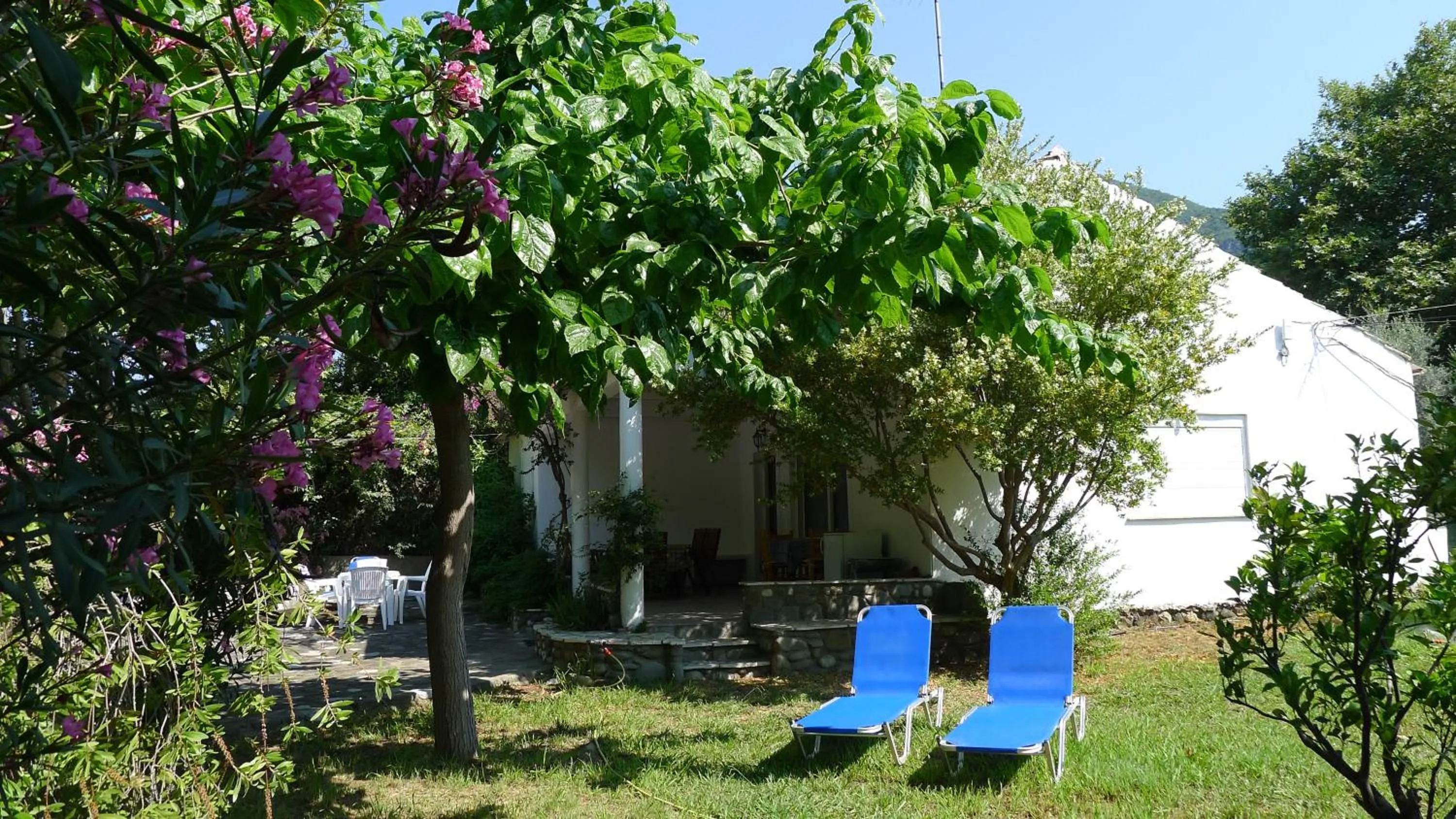 Property building in Villa Goitia