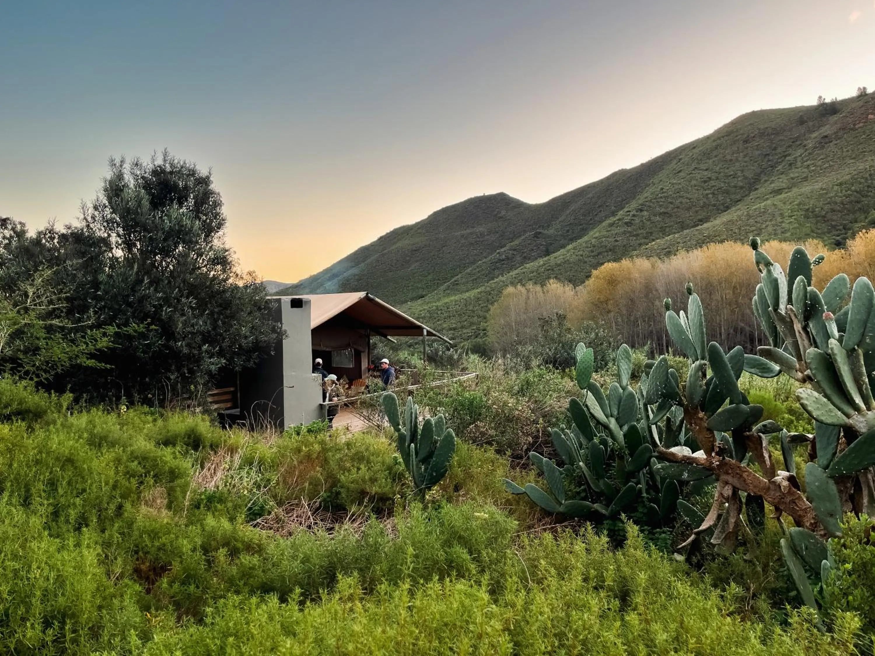 Property building in AfriCamps at Pat Busch