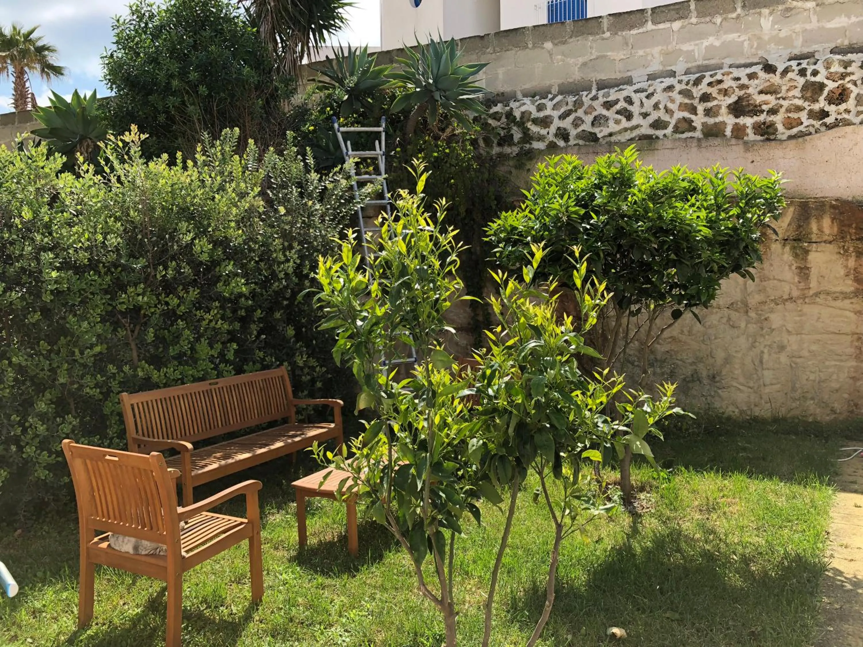 Garden in La Casa del Limoneto