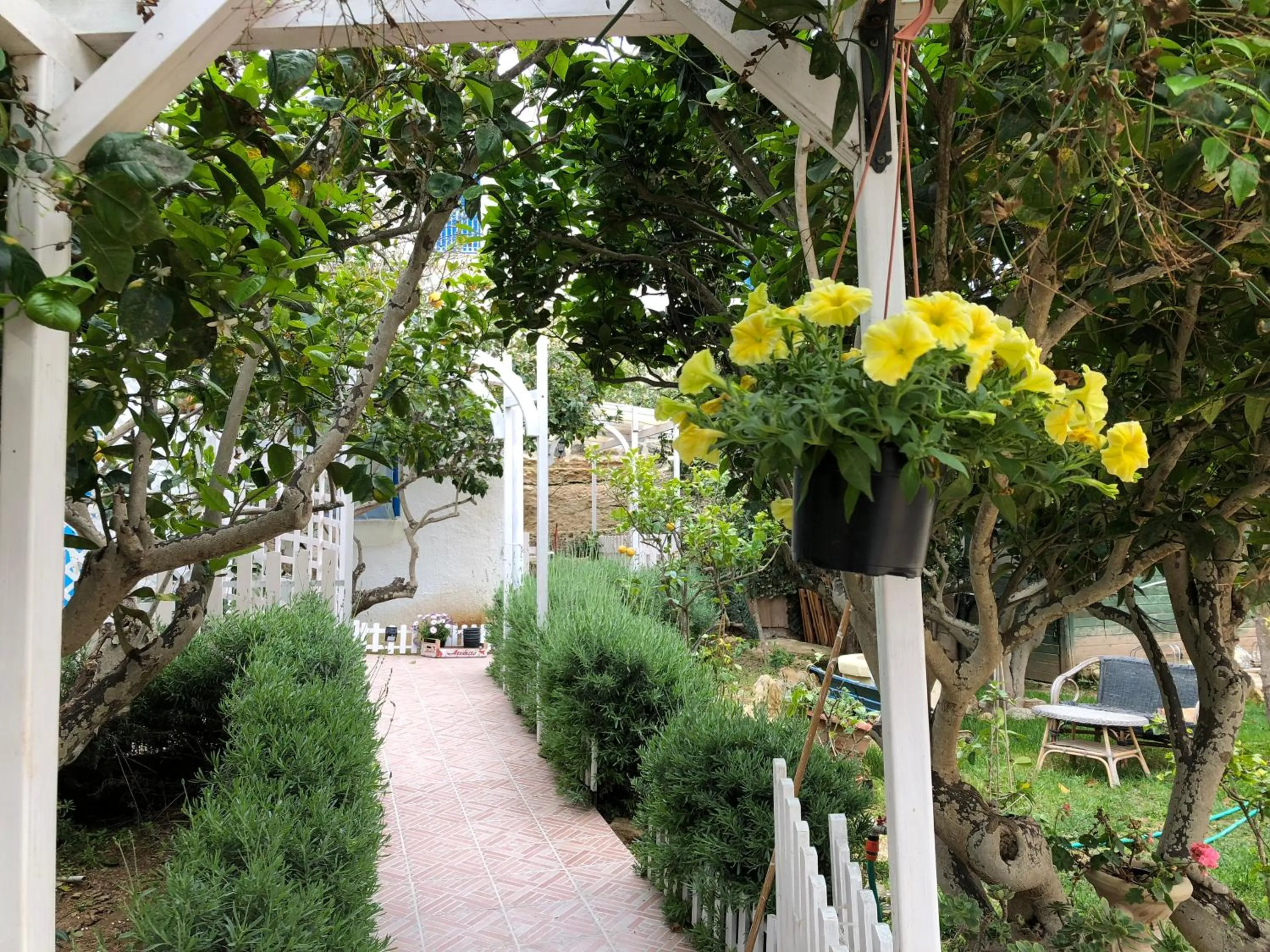Garden in La Casa del Limoneto