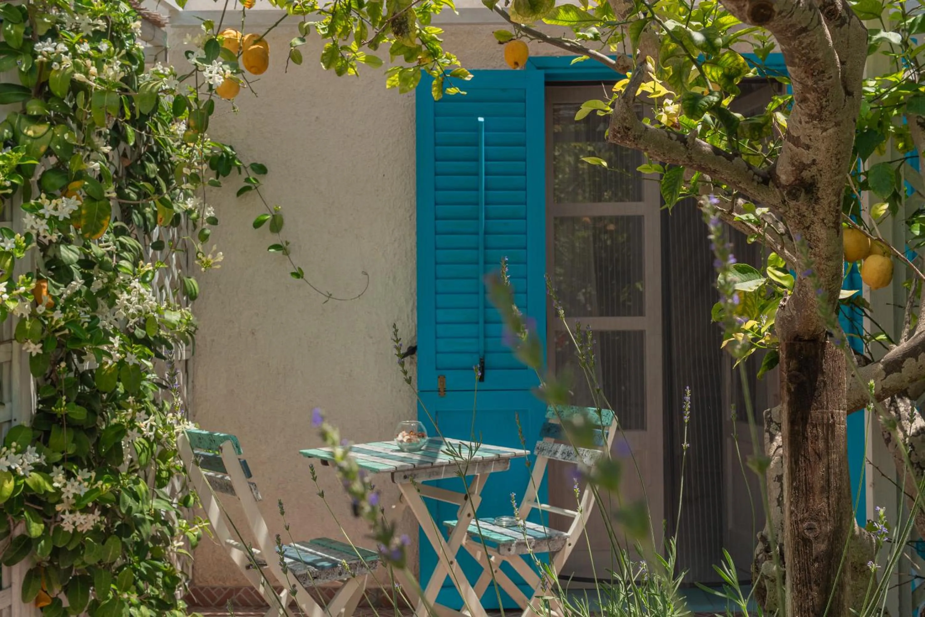 Property building in La Casa del Limoneto