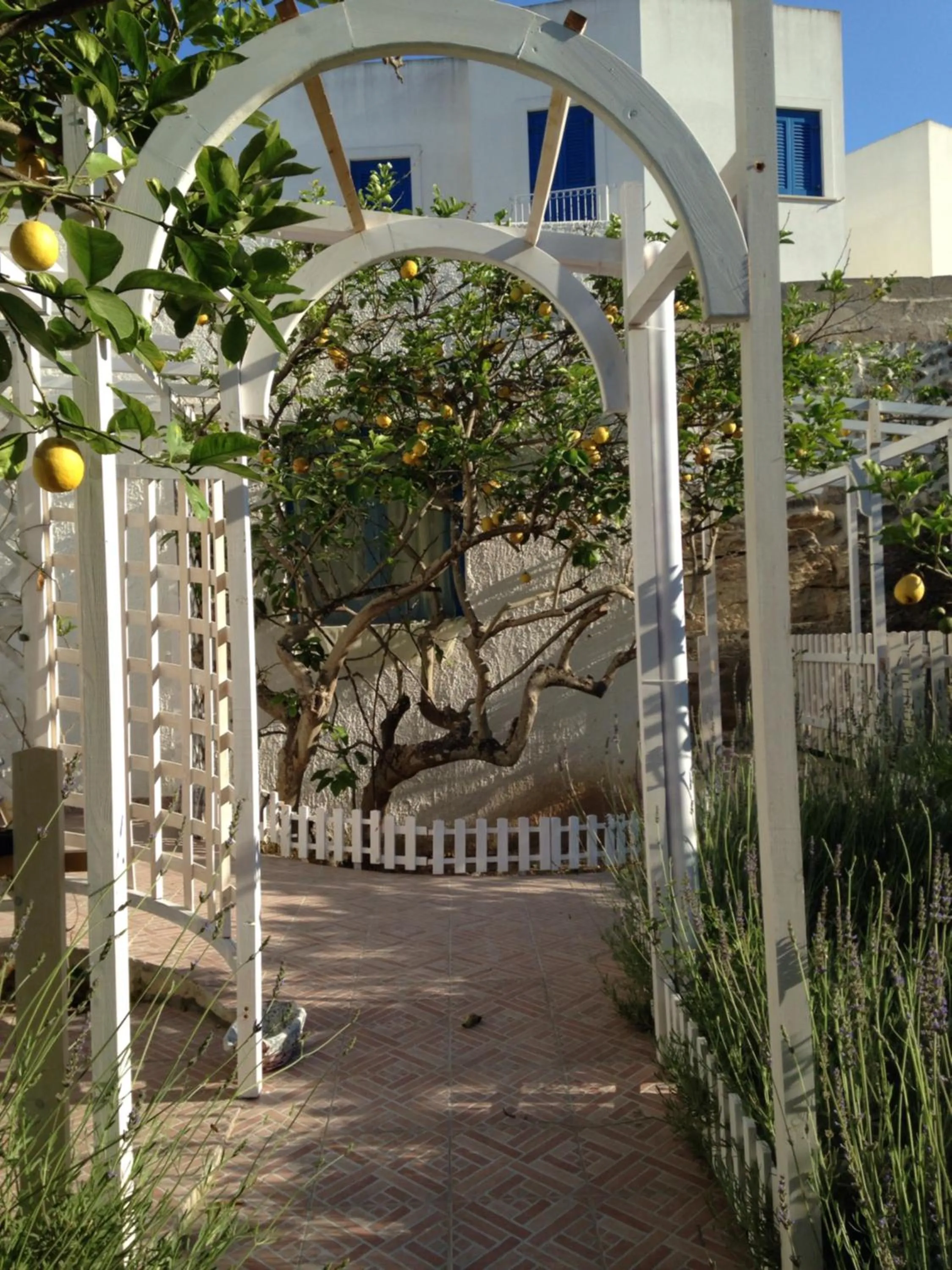 Garden in La Casa del Limoneto