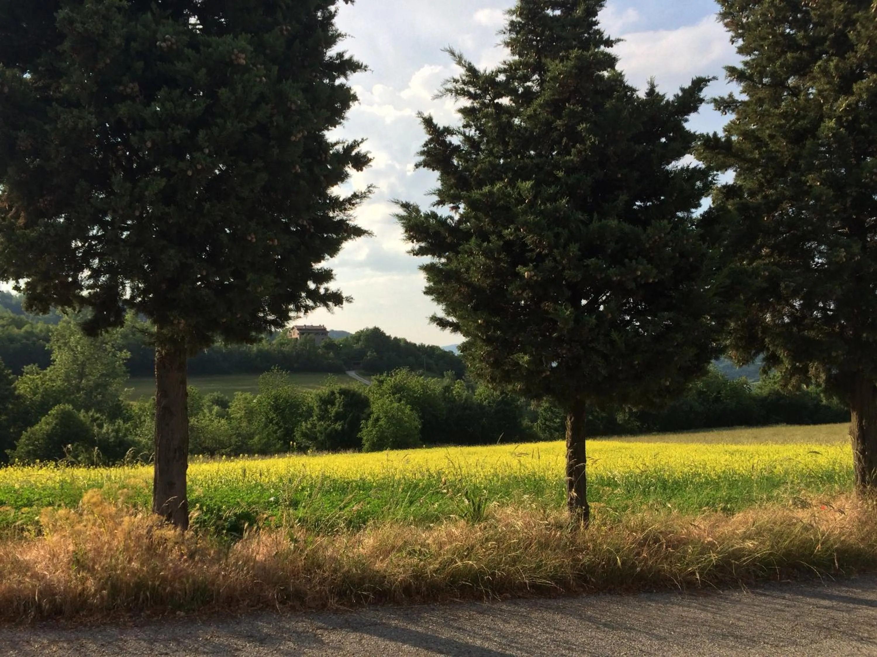 Day in I Calleri Garden and Rooms