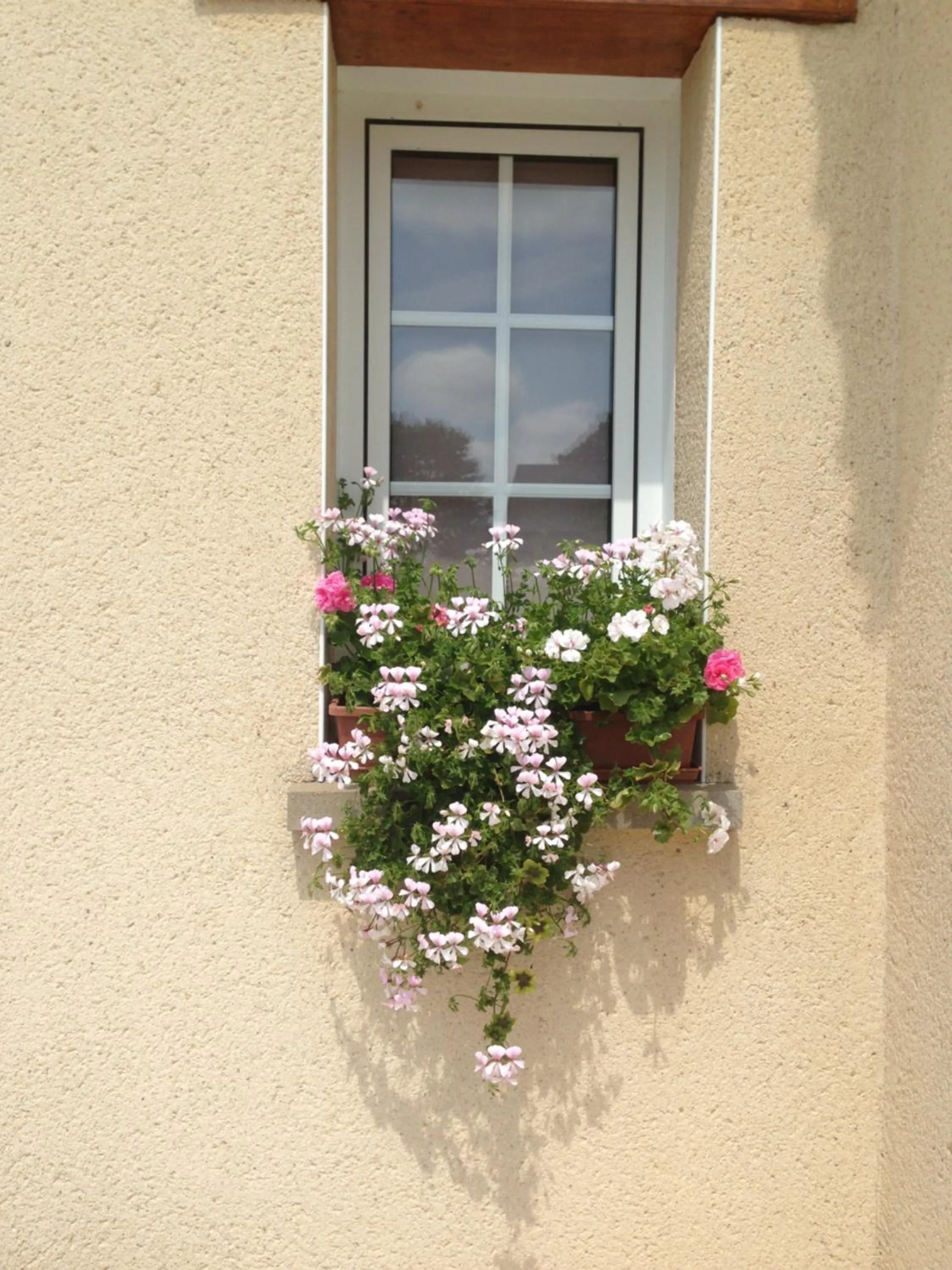 Chambres d'hôtes Le Bignon dans les Alpes Mancelles