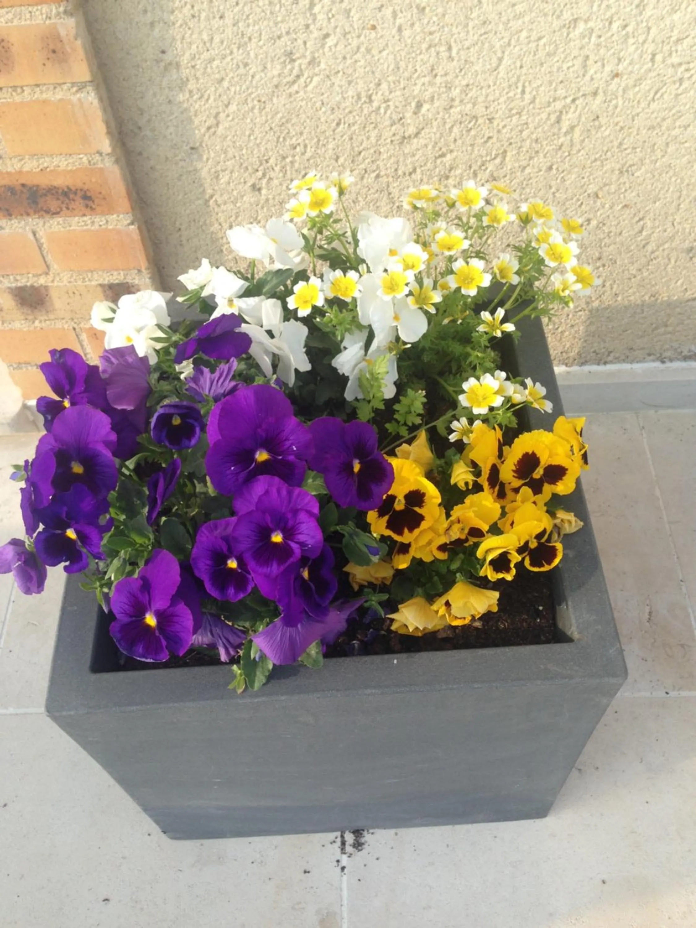 Chambres d'hôtes Le Bignon dans les Alpes Mancelles