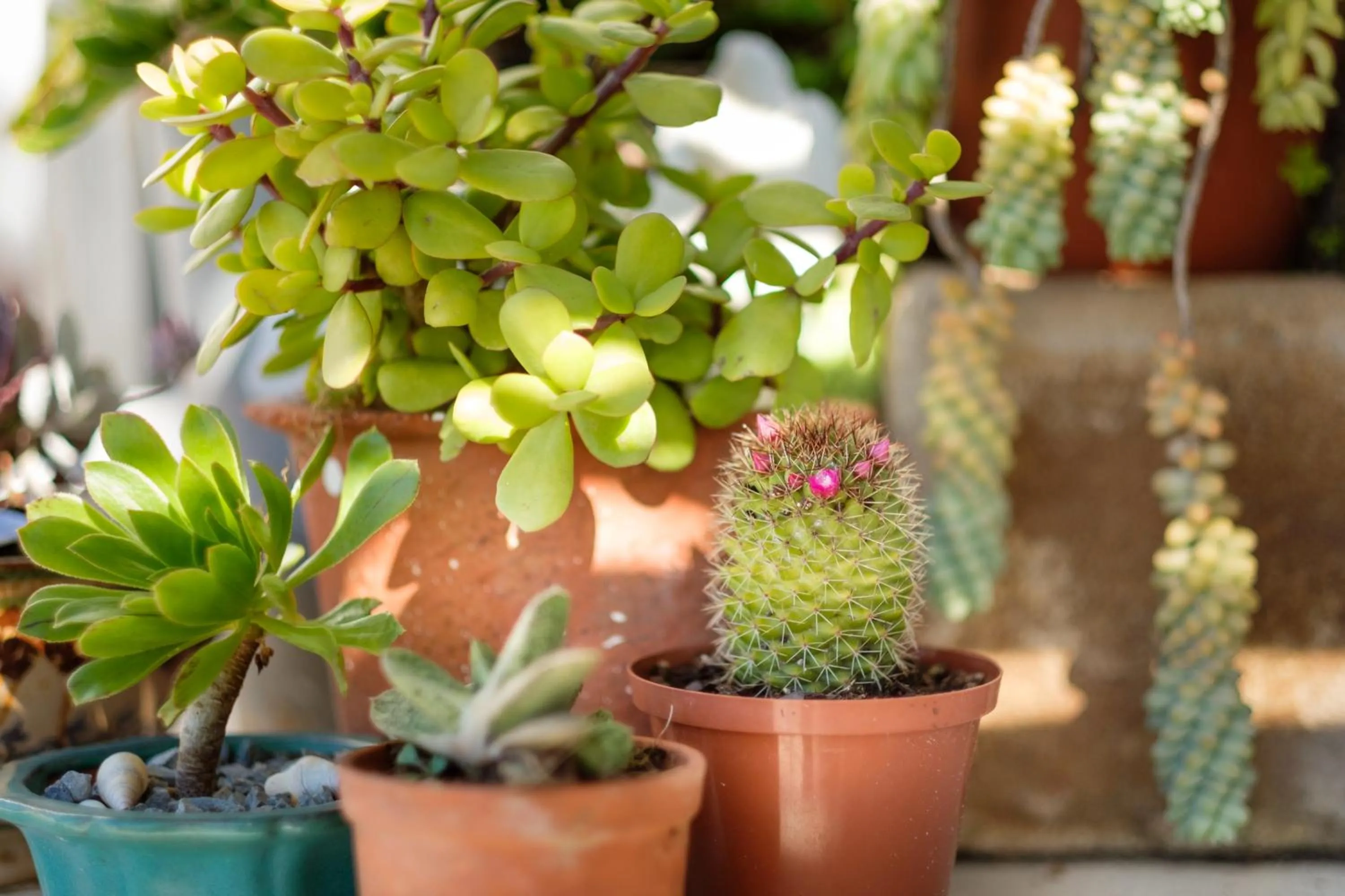 Decorative detail in Smugglers' BnB