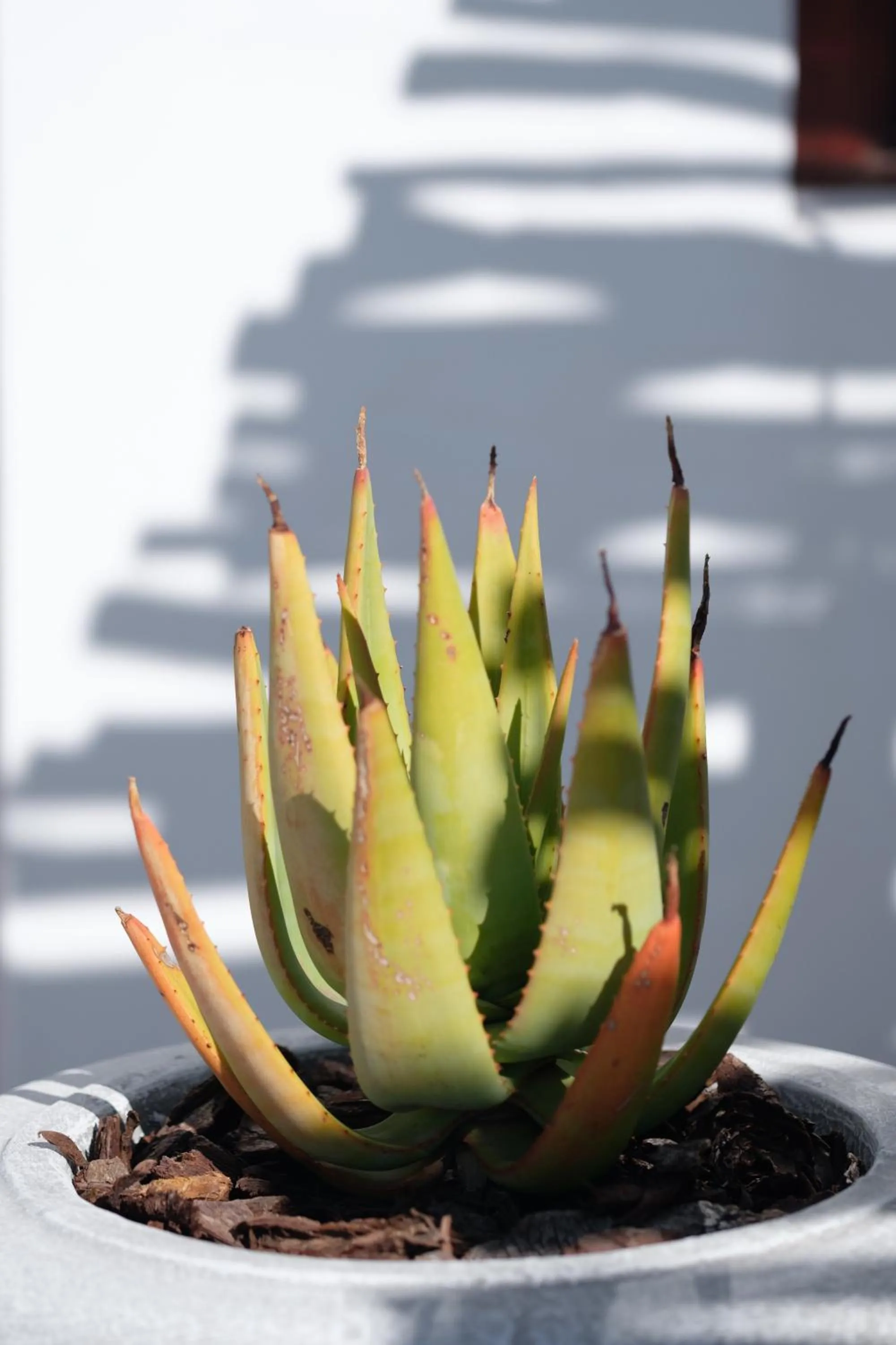 Decorative detail in Smugglers' BnB