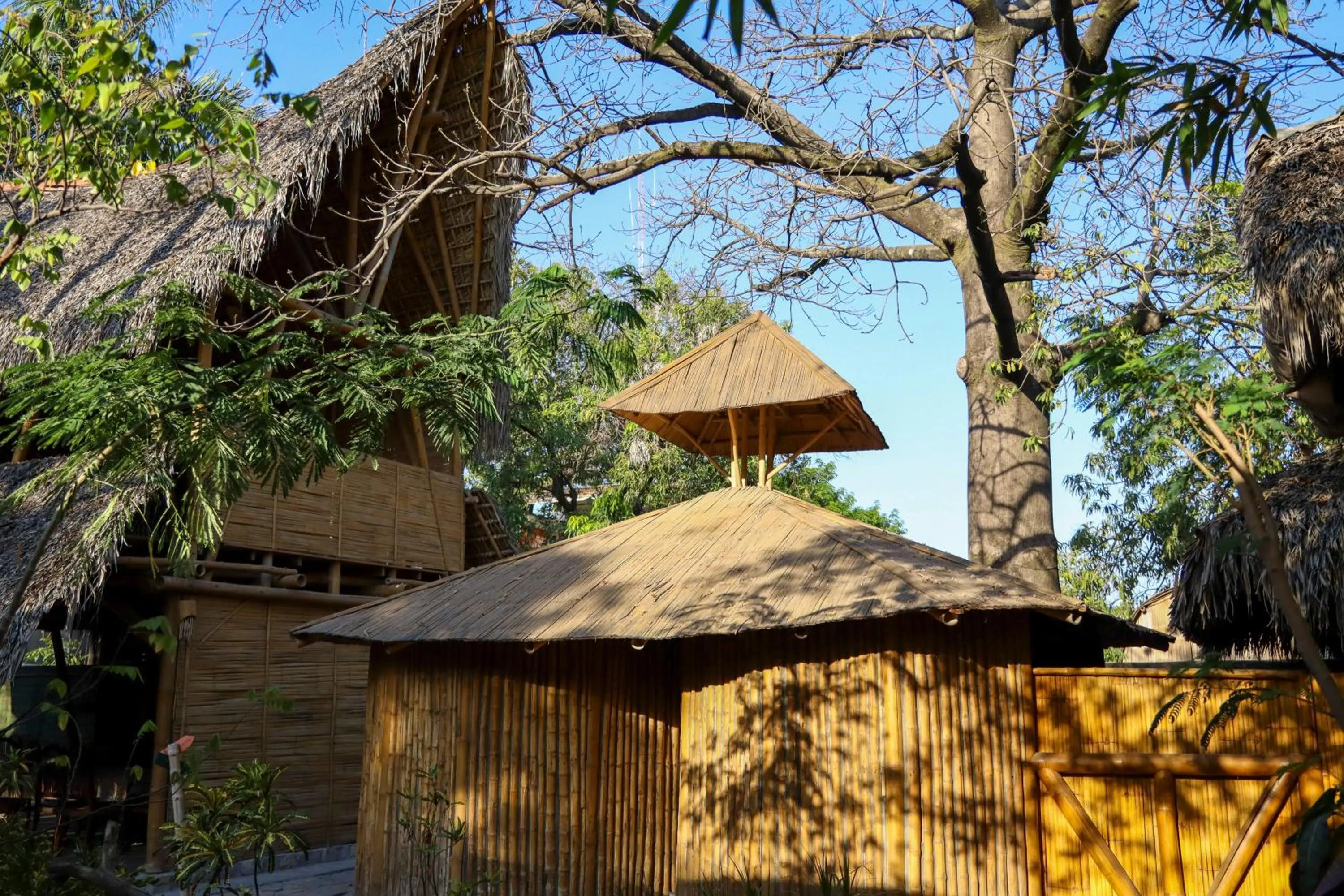 Property building in Eco Hotel Casa Kima