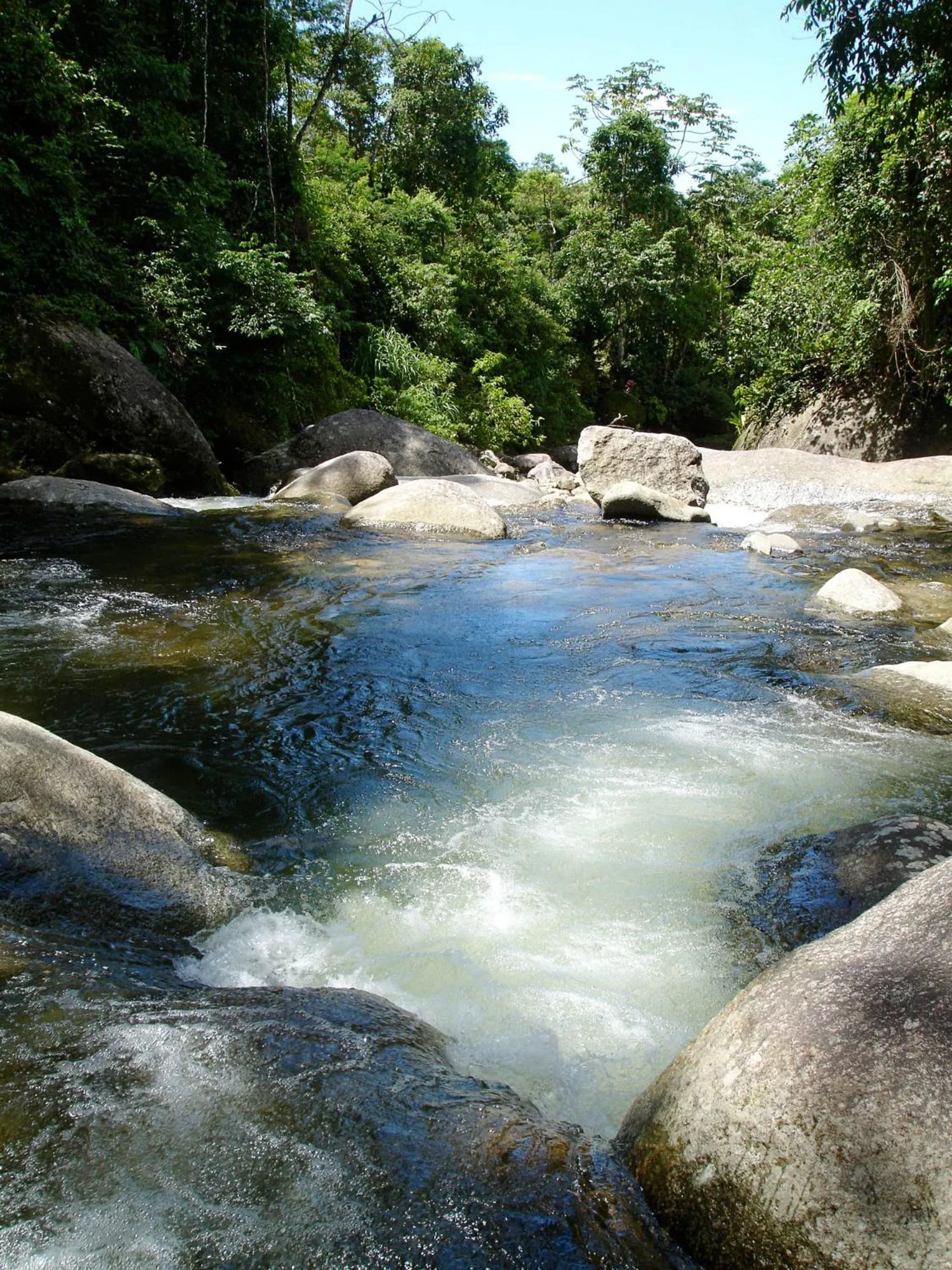 Natural landscape in Sitio Namaste Paraty