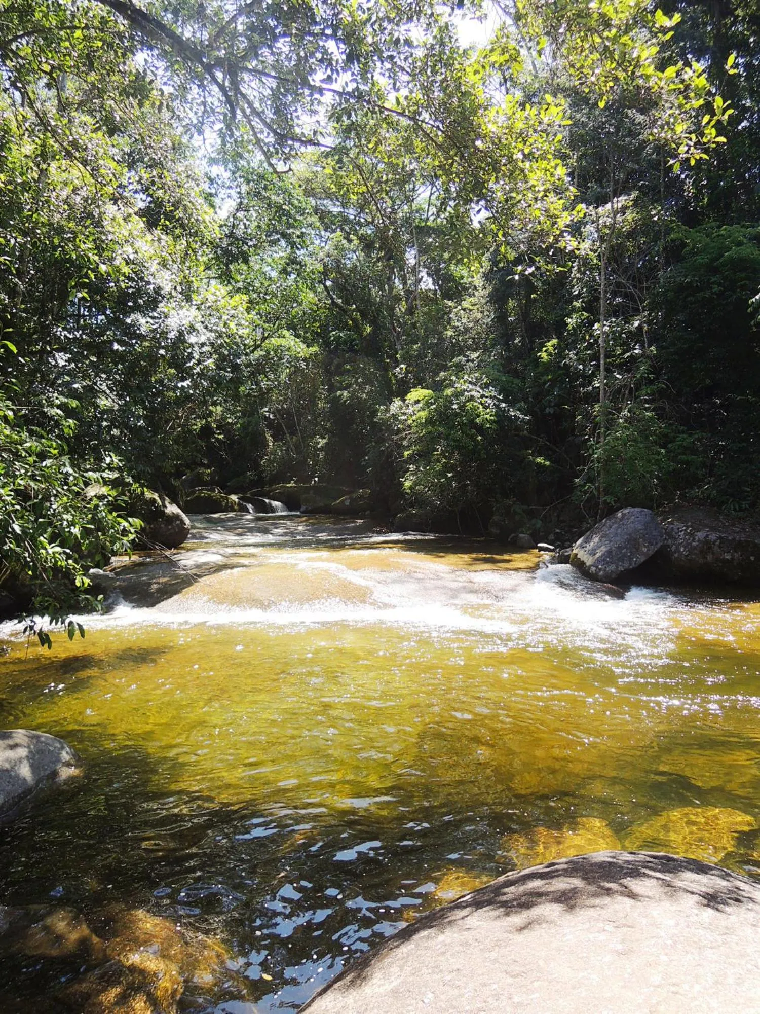 Natural landscape in Sitio Namaste Paraty