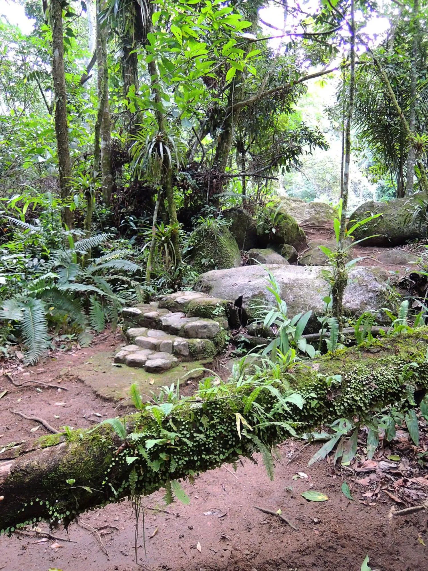 Natural landscape in Sitio Namaste Paraty