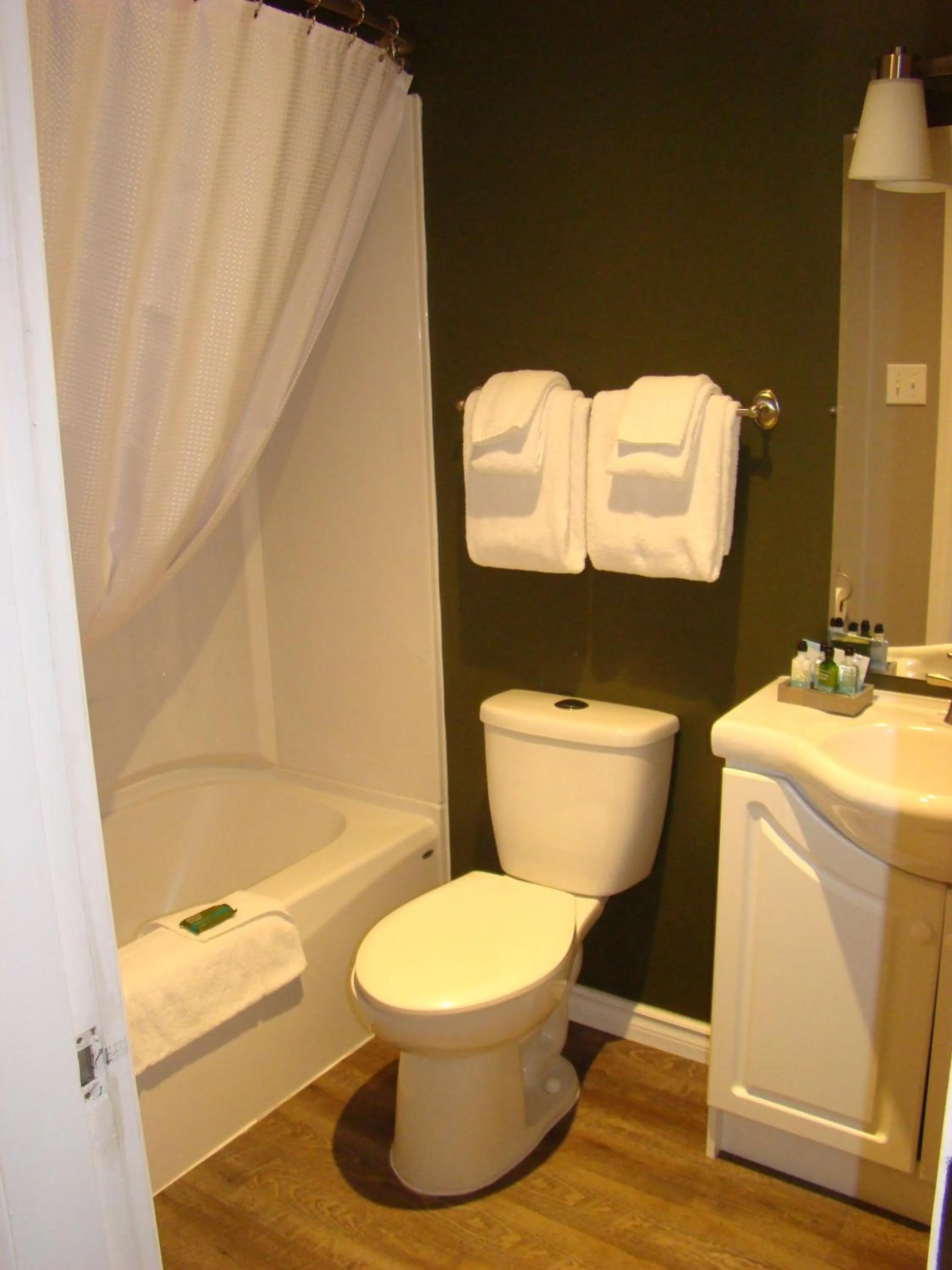 Shower in Paddock Inn