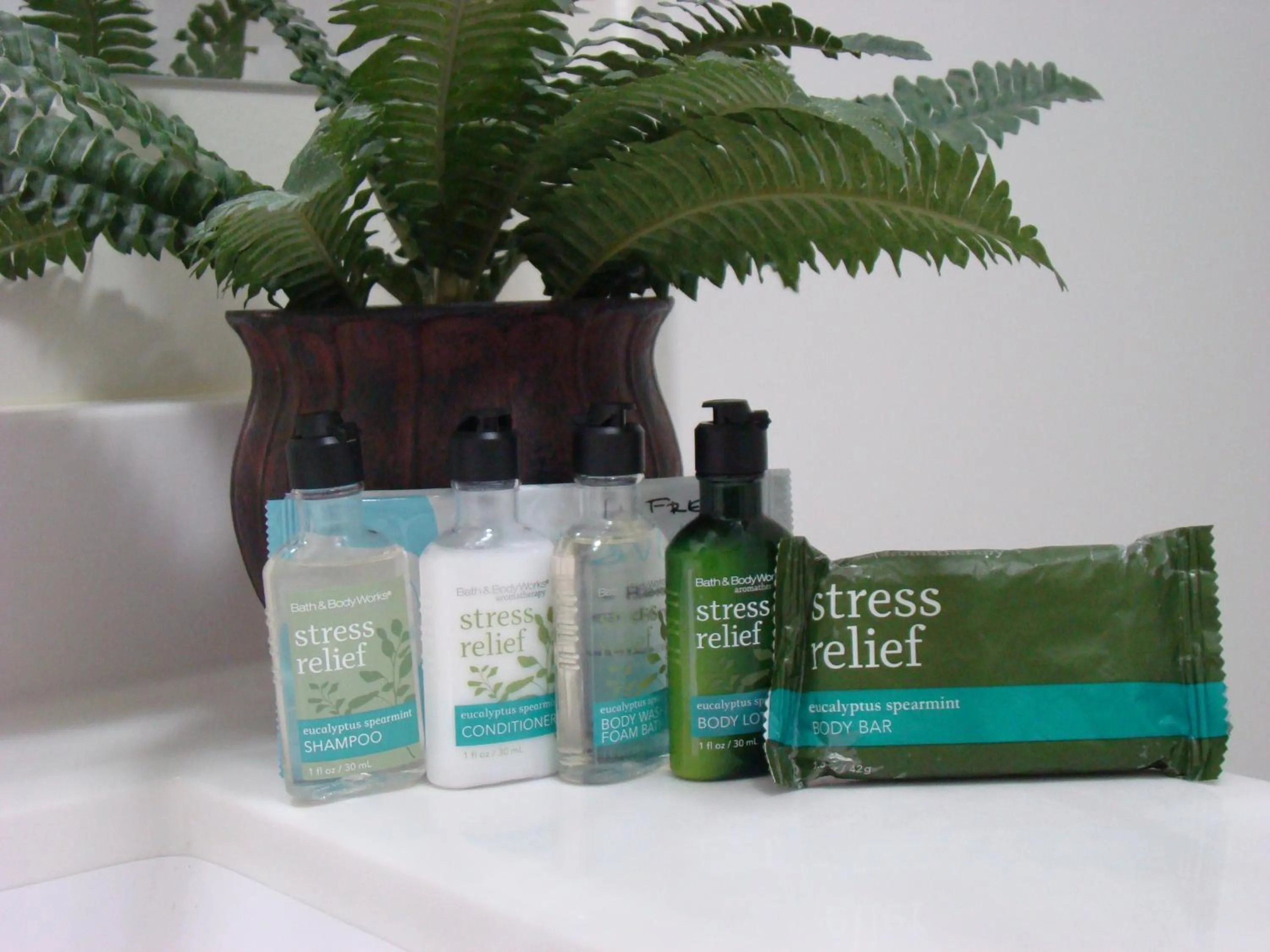 Bathroom in Paddock Inn