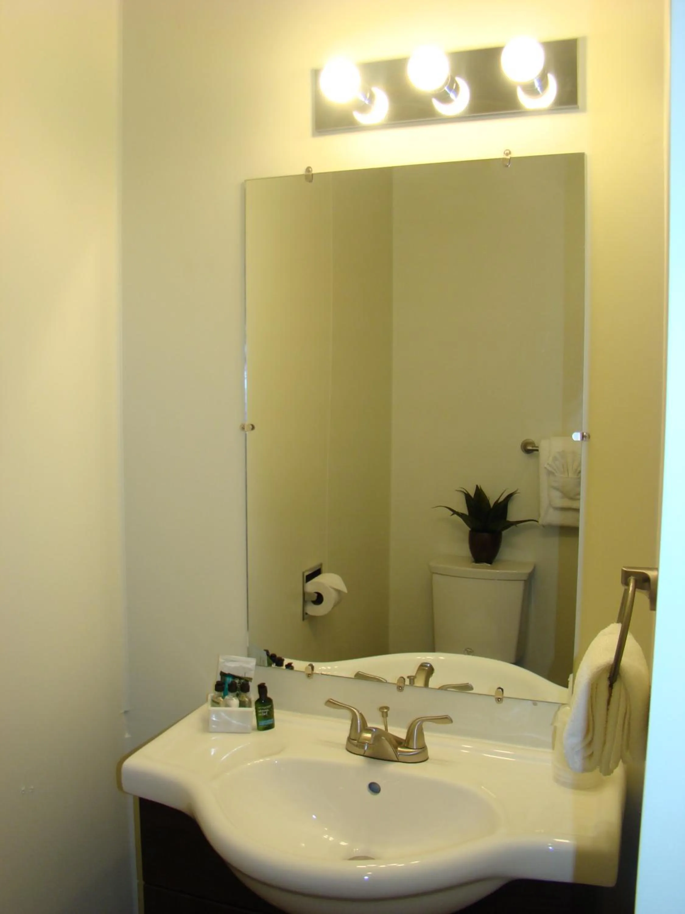 Bathroom in Paddock Inn