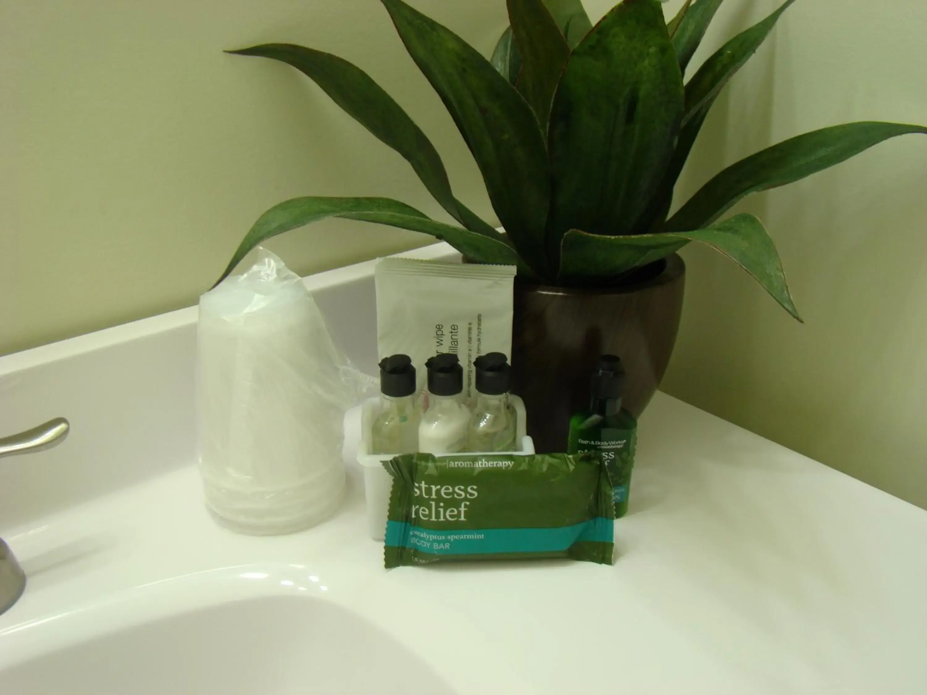 Queen Room in Paddock Inn Queen Room in Paddock Inn