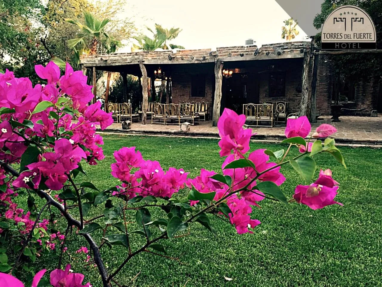 Garden in Hotel Torres Del Fuerte