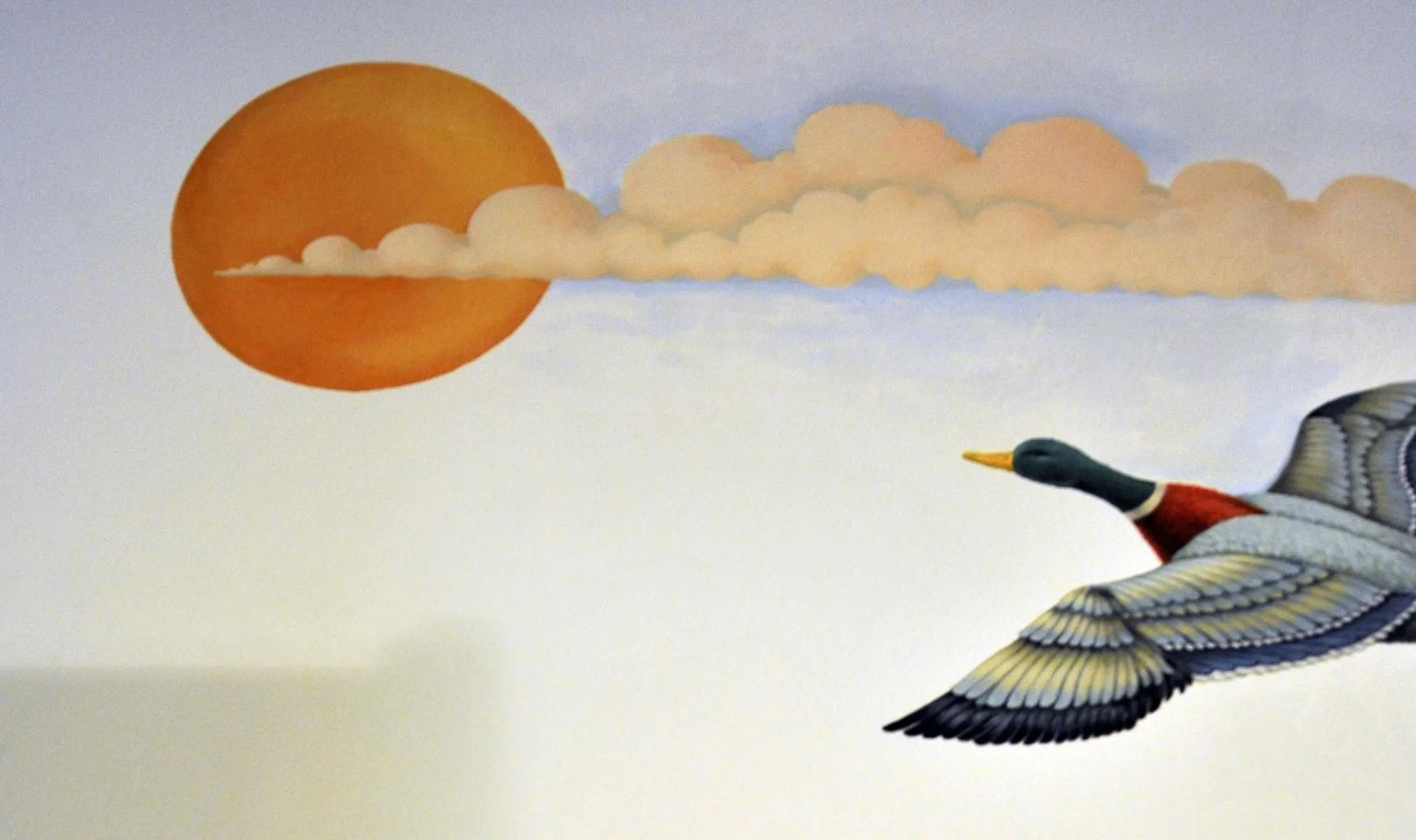 Other in Il Podere Del Germano Reale