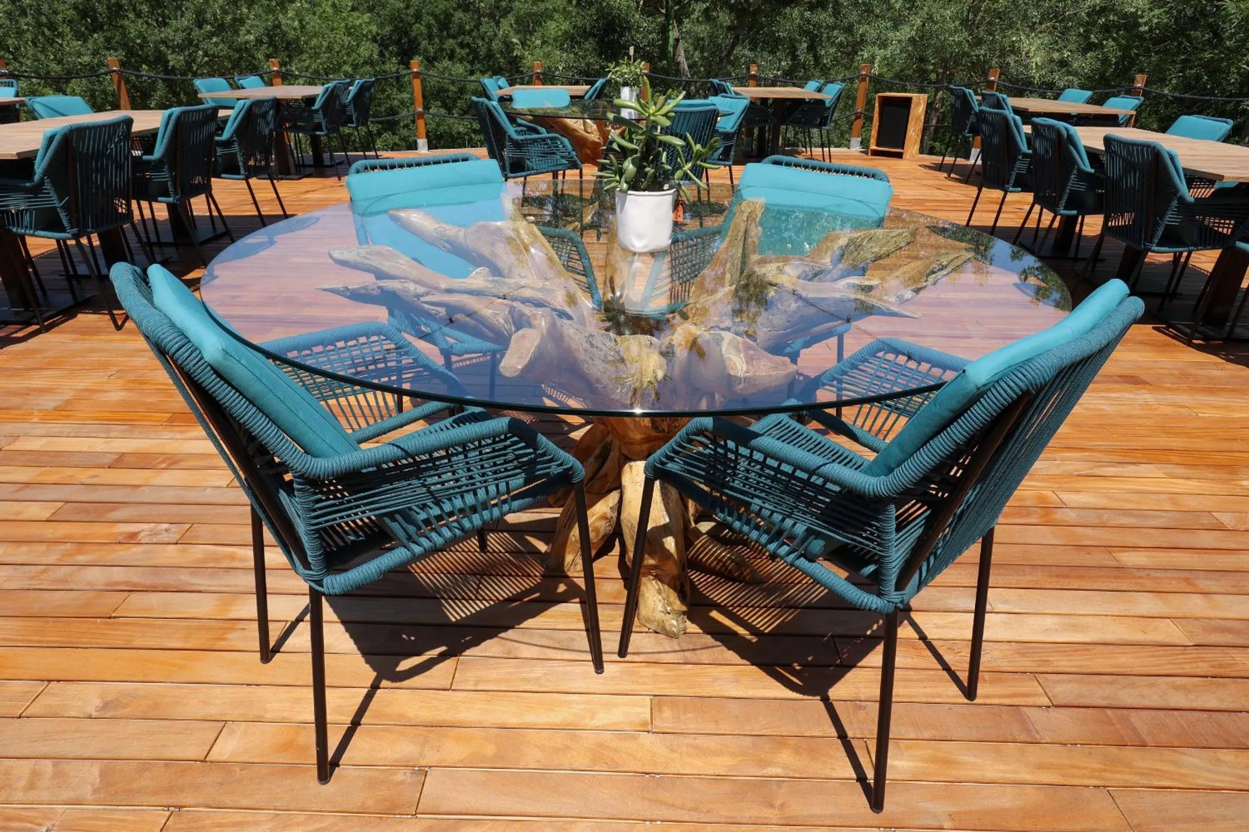 Restaurant/places to eat in Il Podere Del Germano Reale