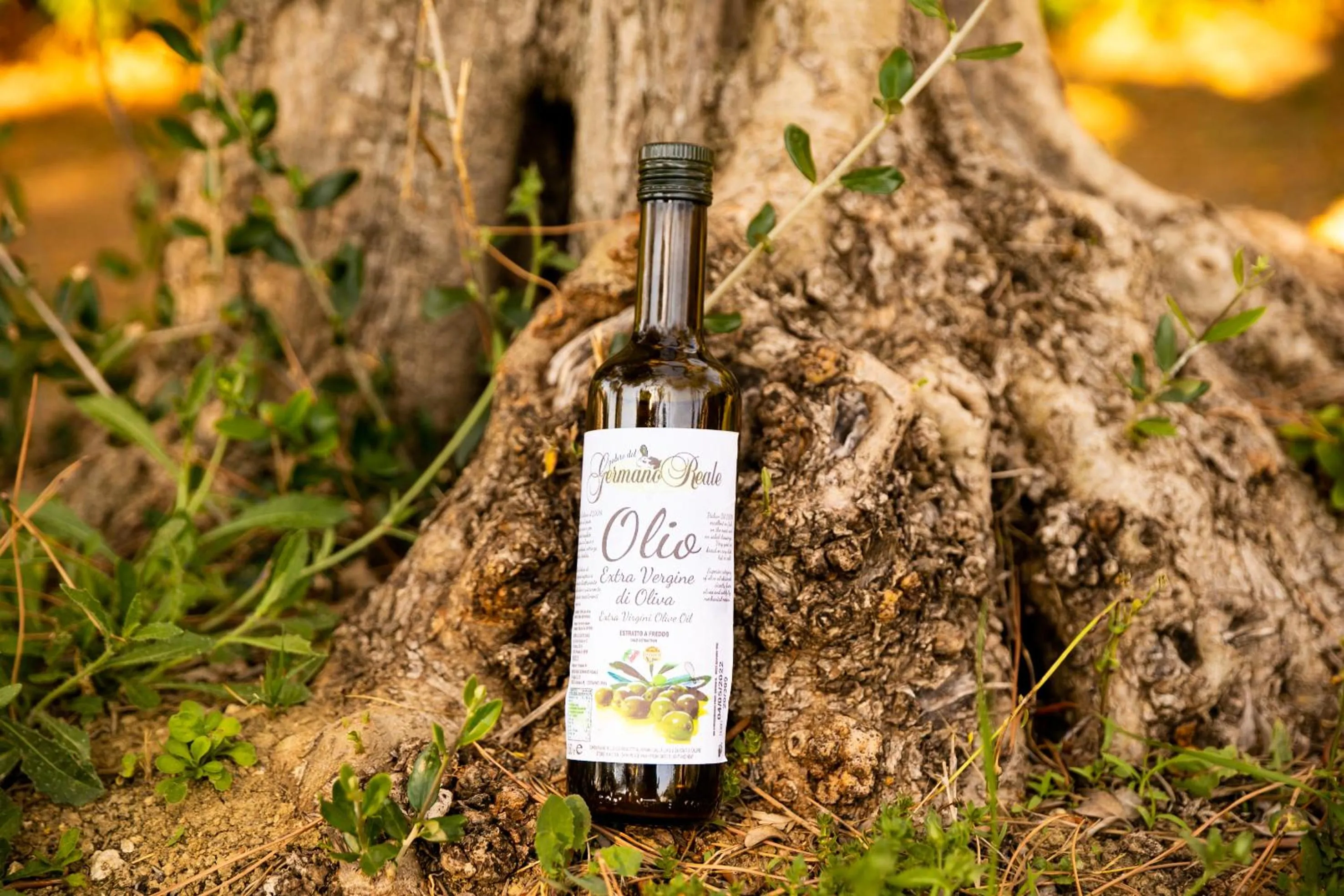 Day in Il Podere Del Germano Reale