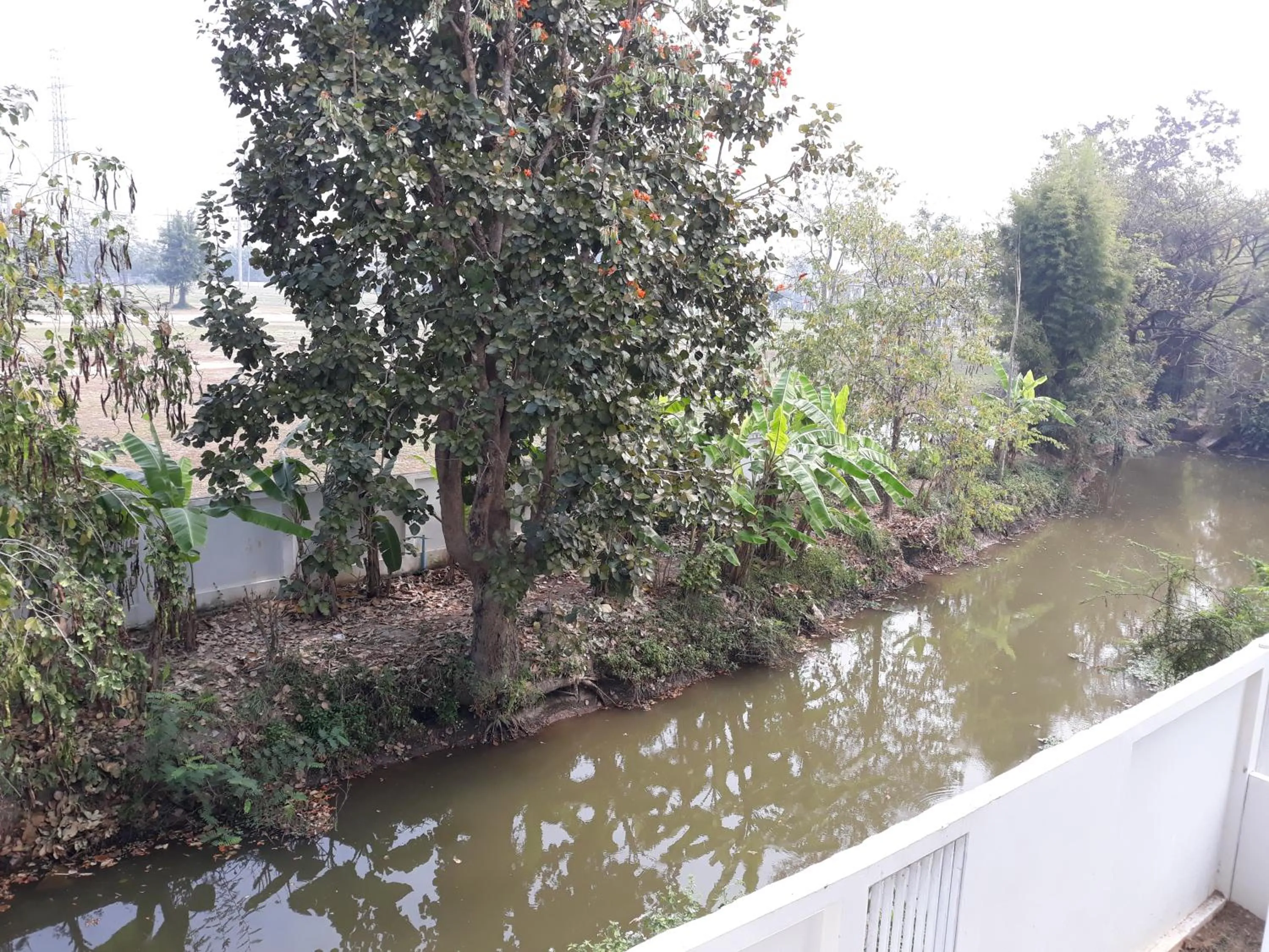 Natural landscape in New Loft Modern Home