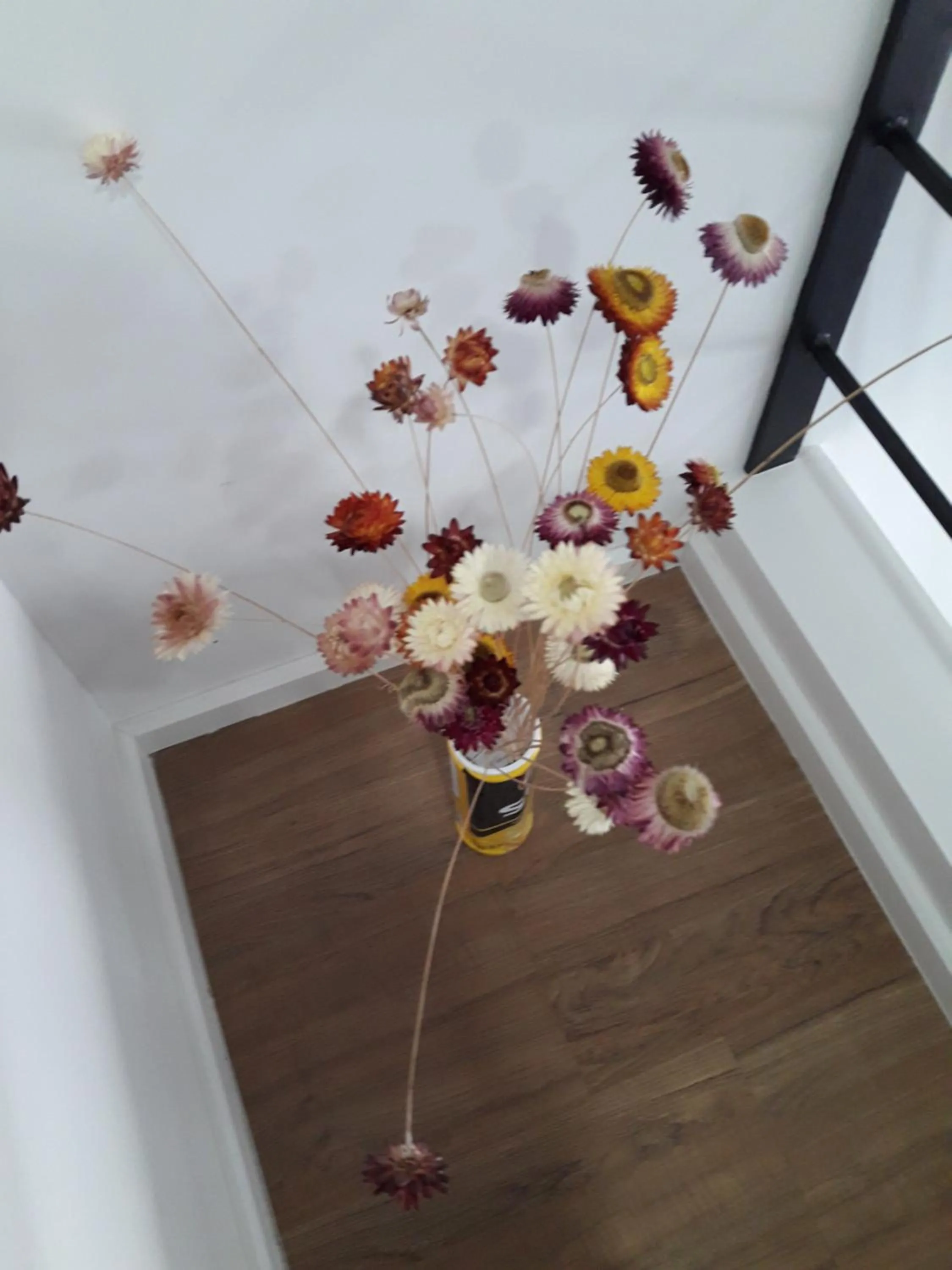 Decorative detail in New Loft Modern Home