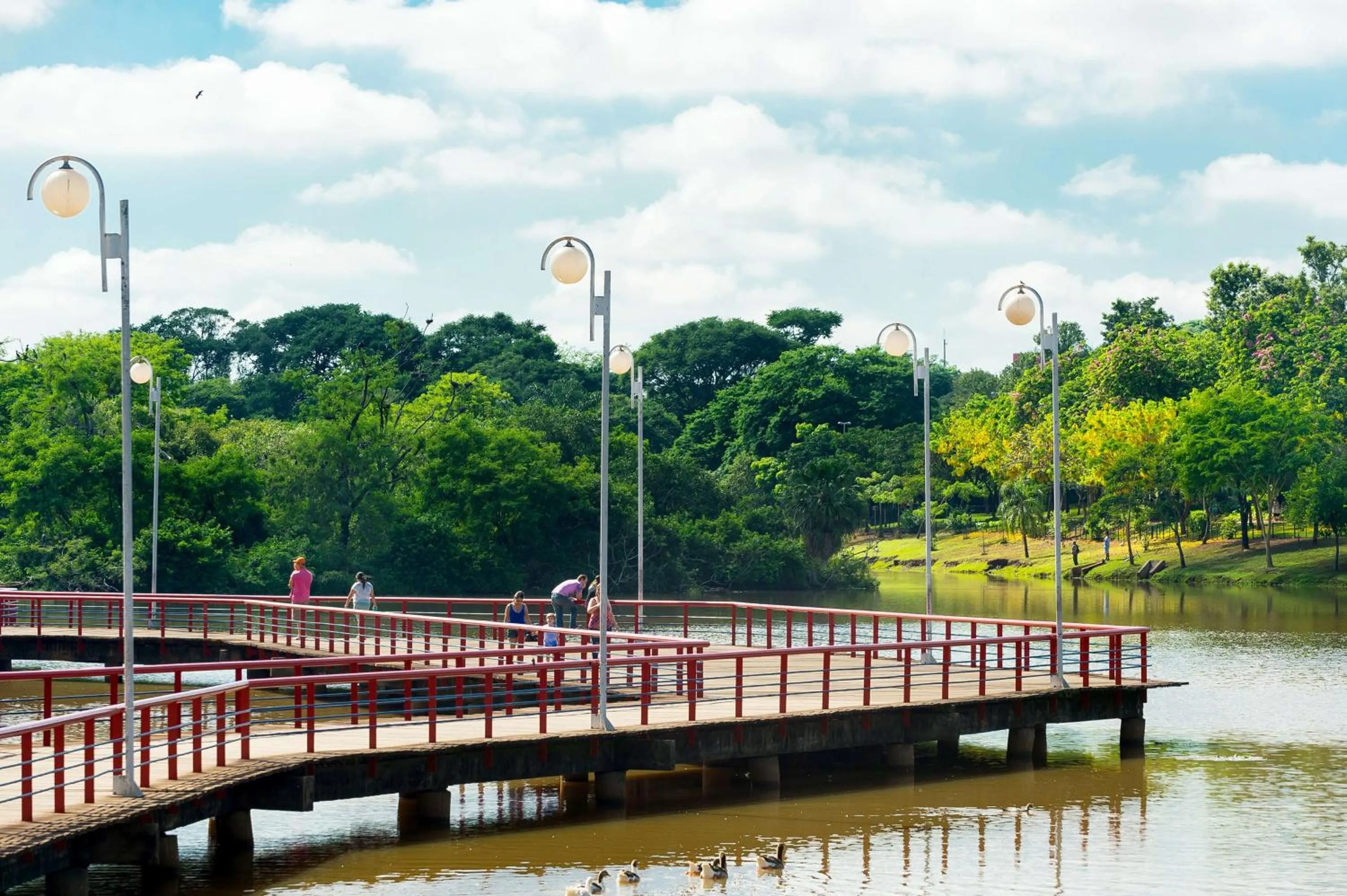 Other in Hyatt Place Sao Jose do Rio Preto