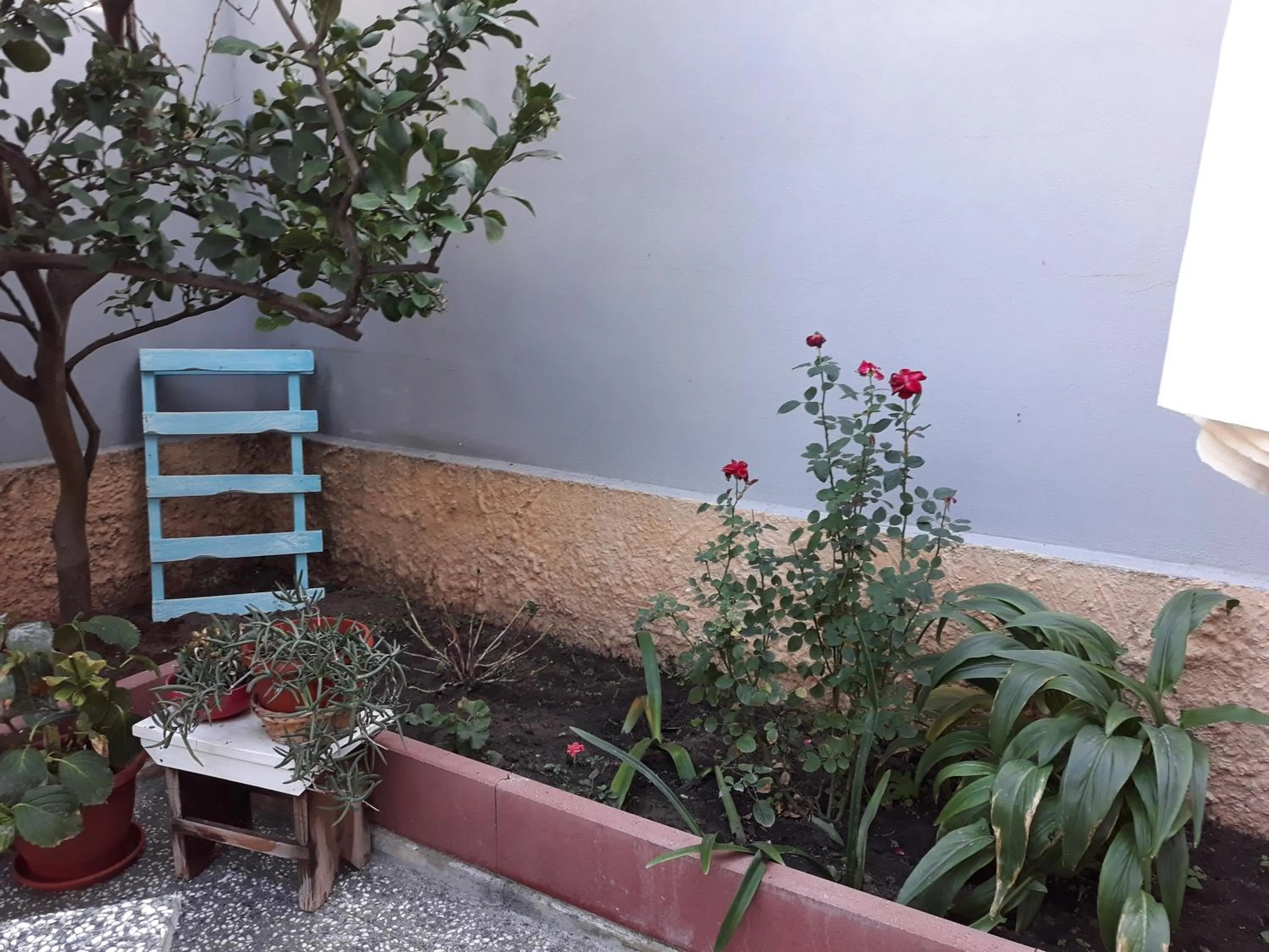 Garden view in Affittacamere da Arianna