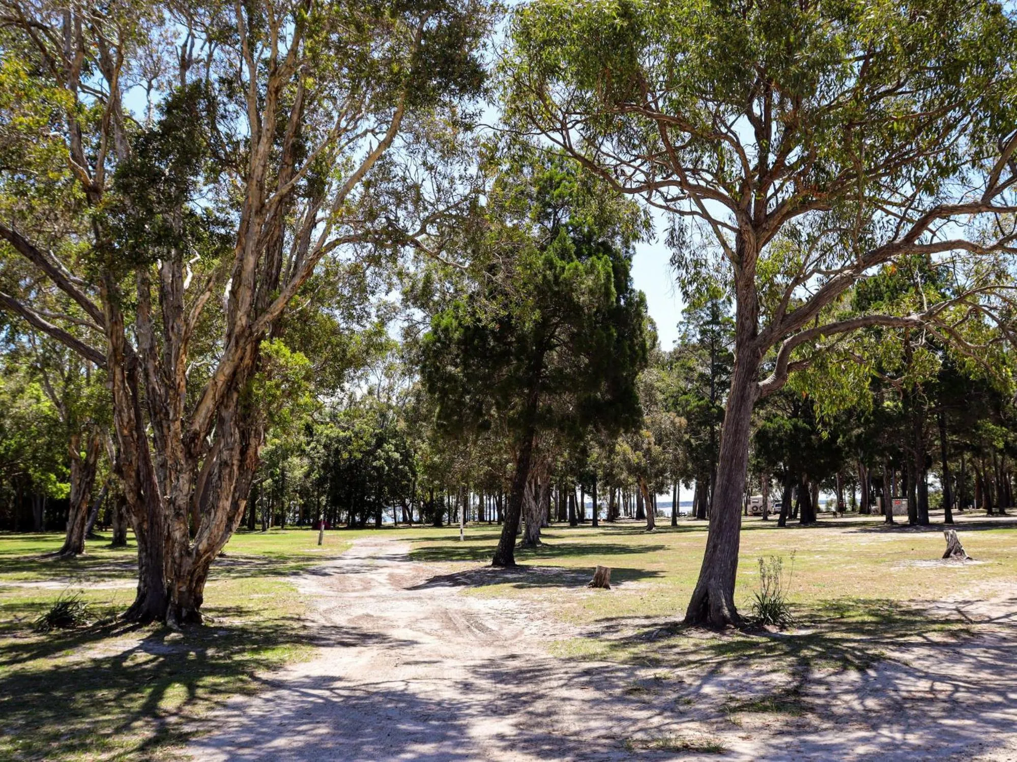 Natural landscape in BIG4 Rainbow Beach Holiday Park