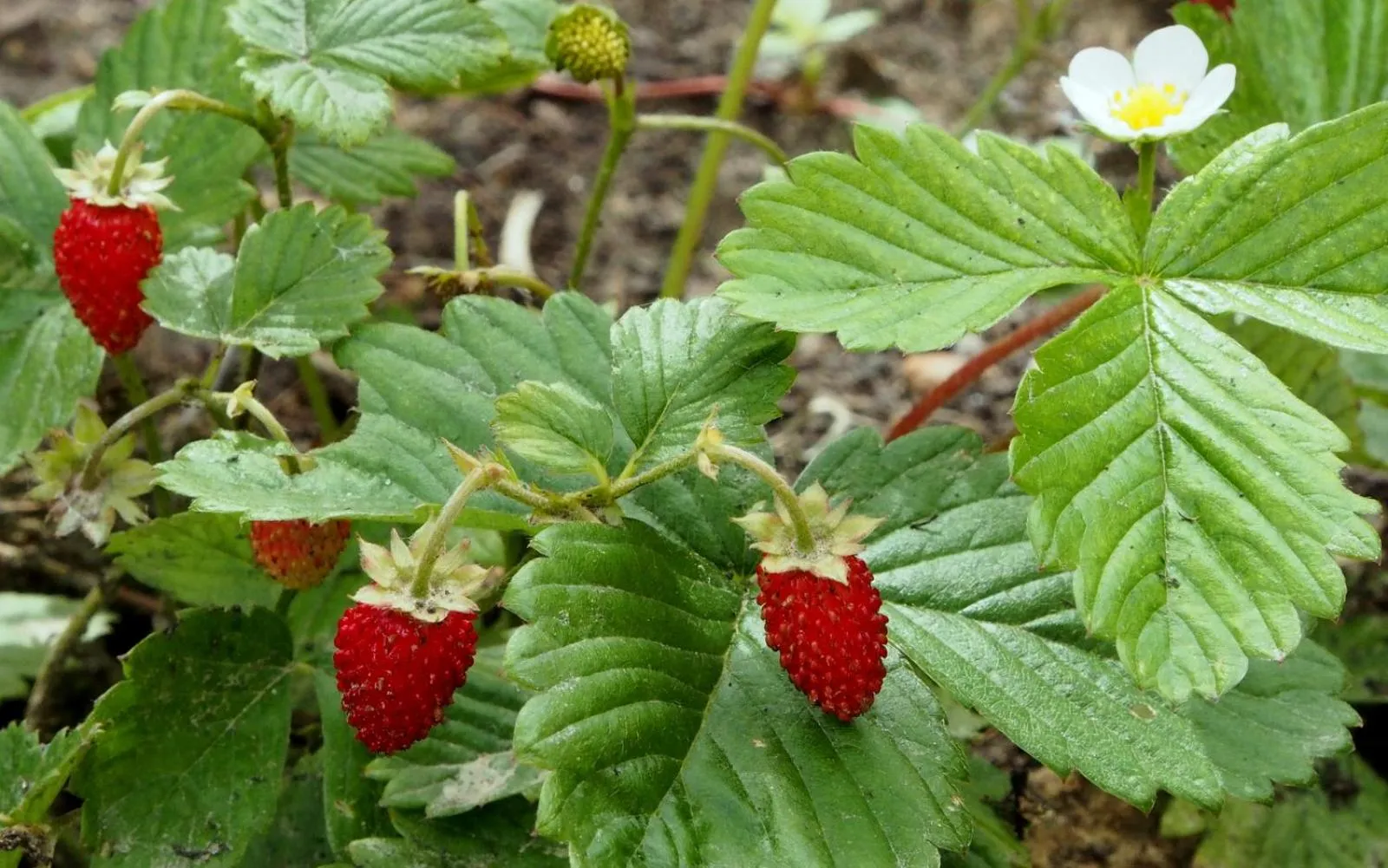 Property building in Hotel Vorsen