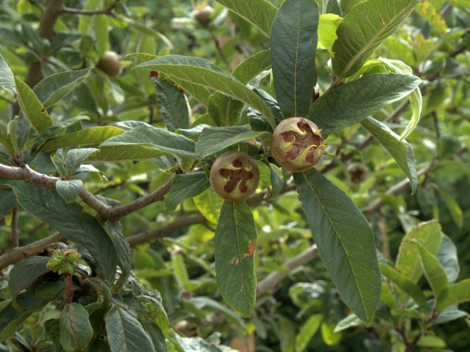 Property building in Hotel Vorsen