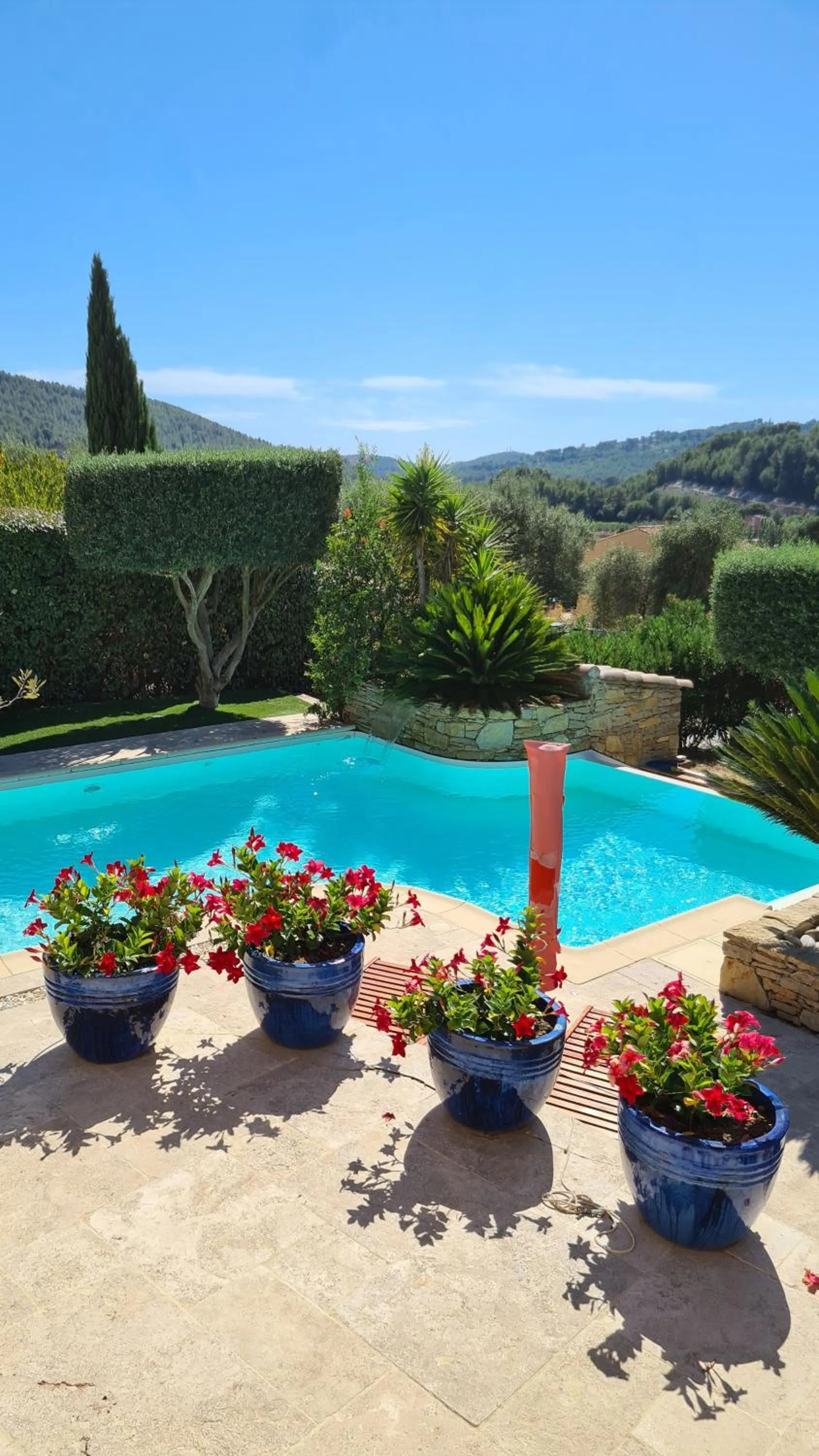 Pool view in la cigale sous l'olivier