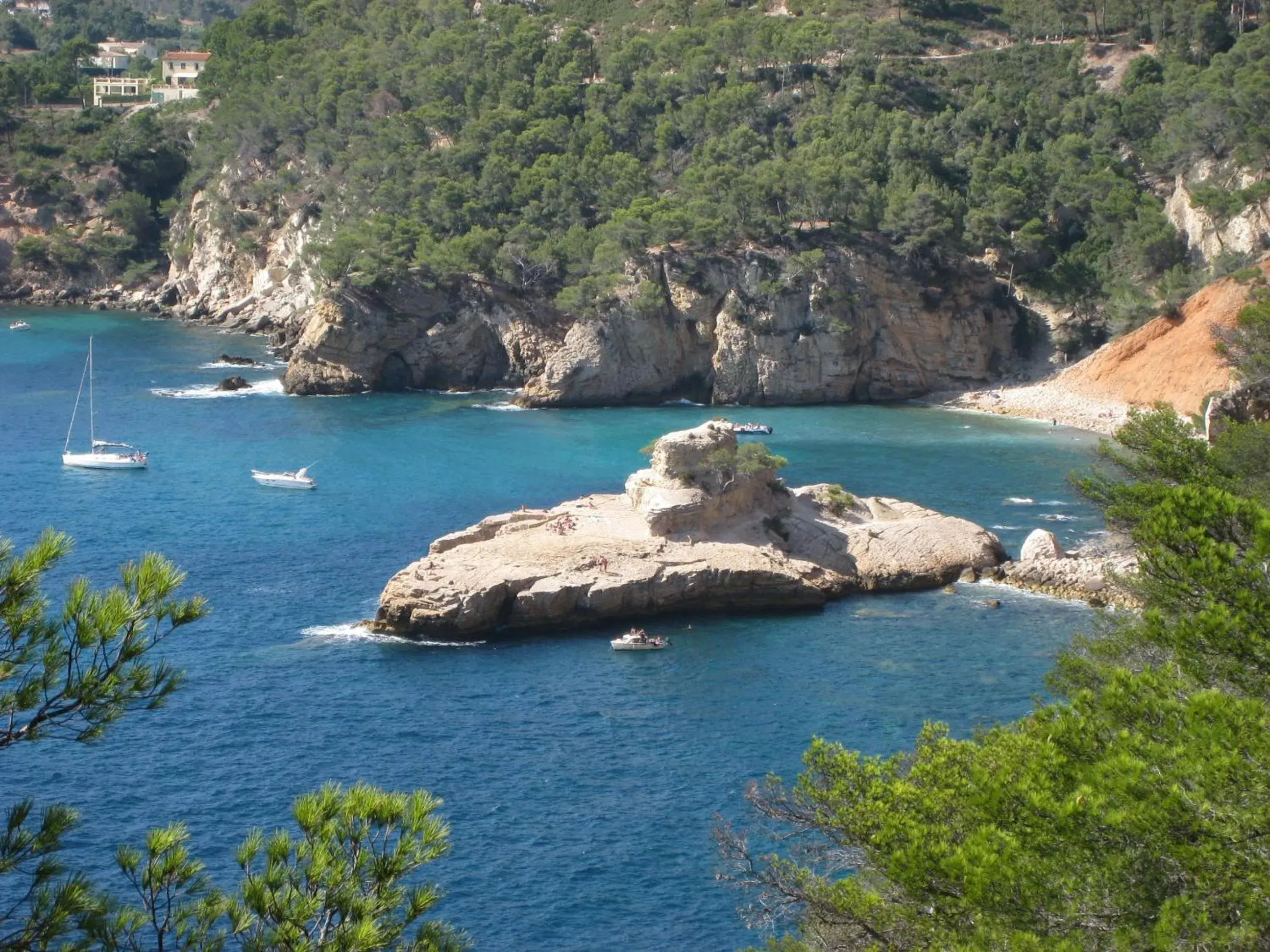 Natural Landscape in la cigale sous l'olivier