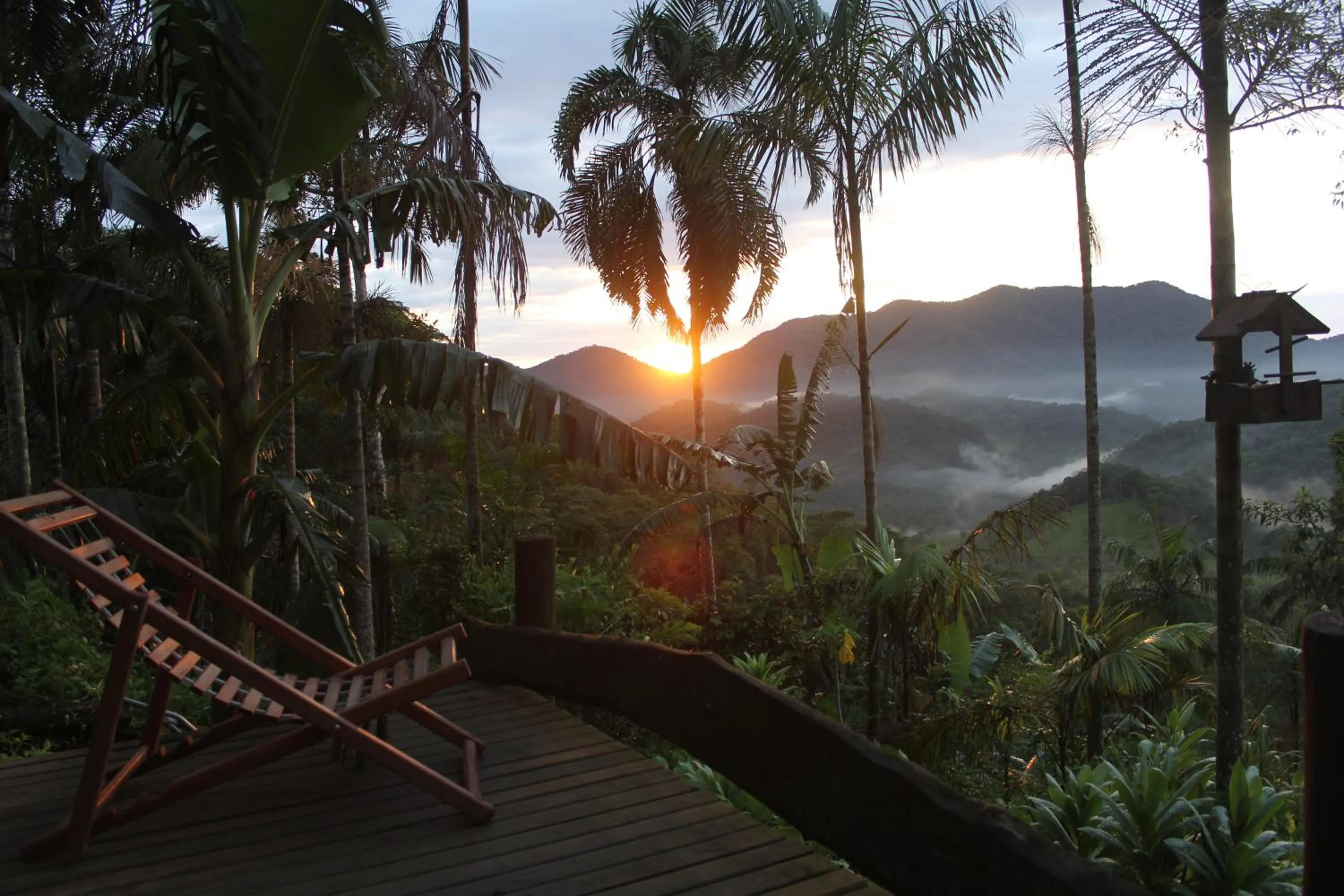 Natural landscape in Eco Hostel Organic Life