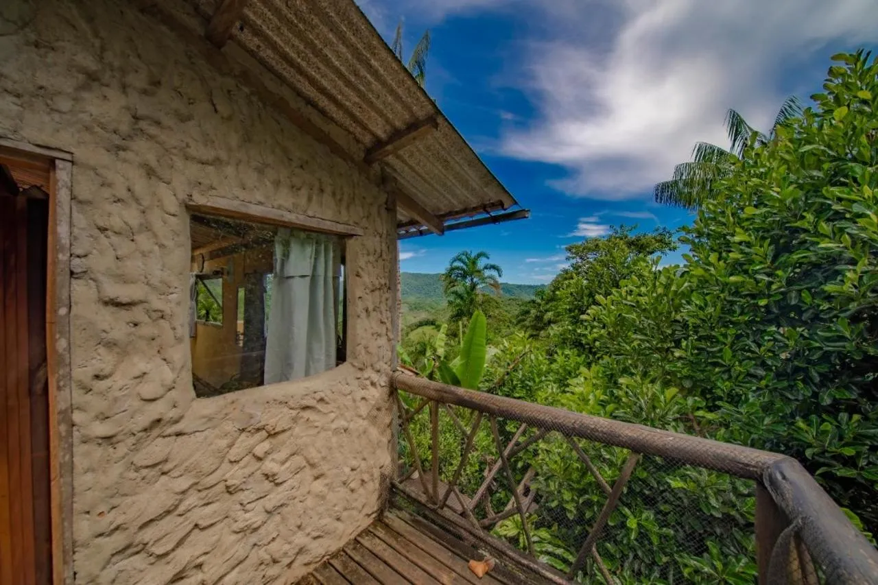 Balcony/Terrace in Eco Hostel Organic Life