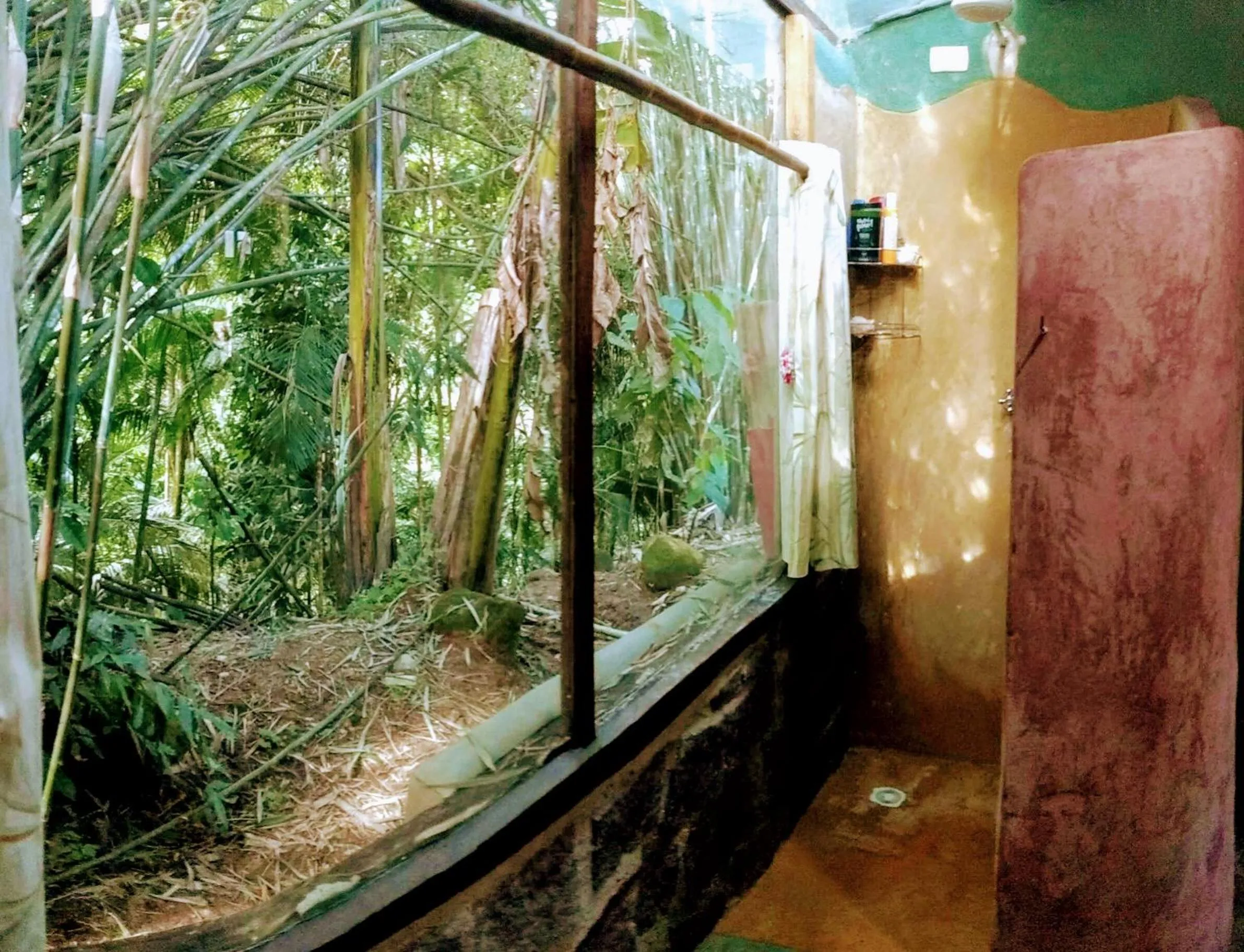 Shower in Eco Hostel Organic Life