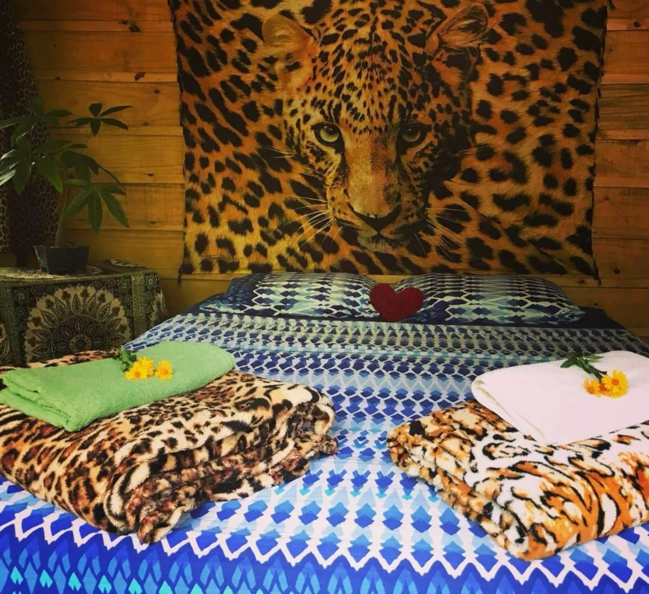 Eco Hostel Organic Life