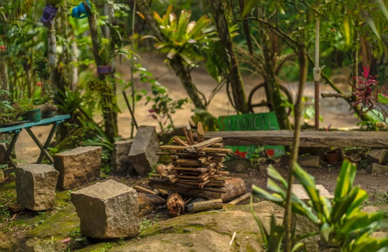 Patio in Eco Hostel Organic Life